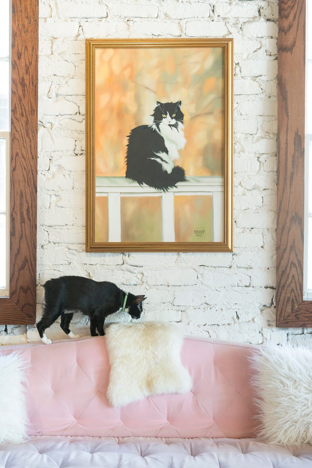 Pounce Cat Café + Wine Bar photo 5