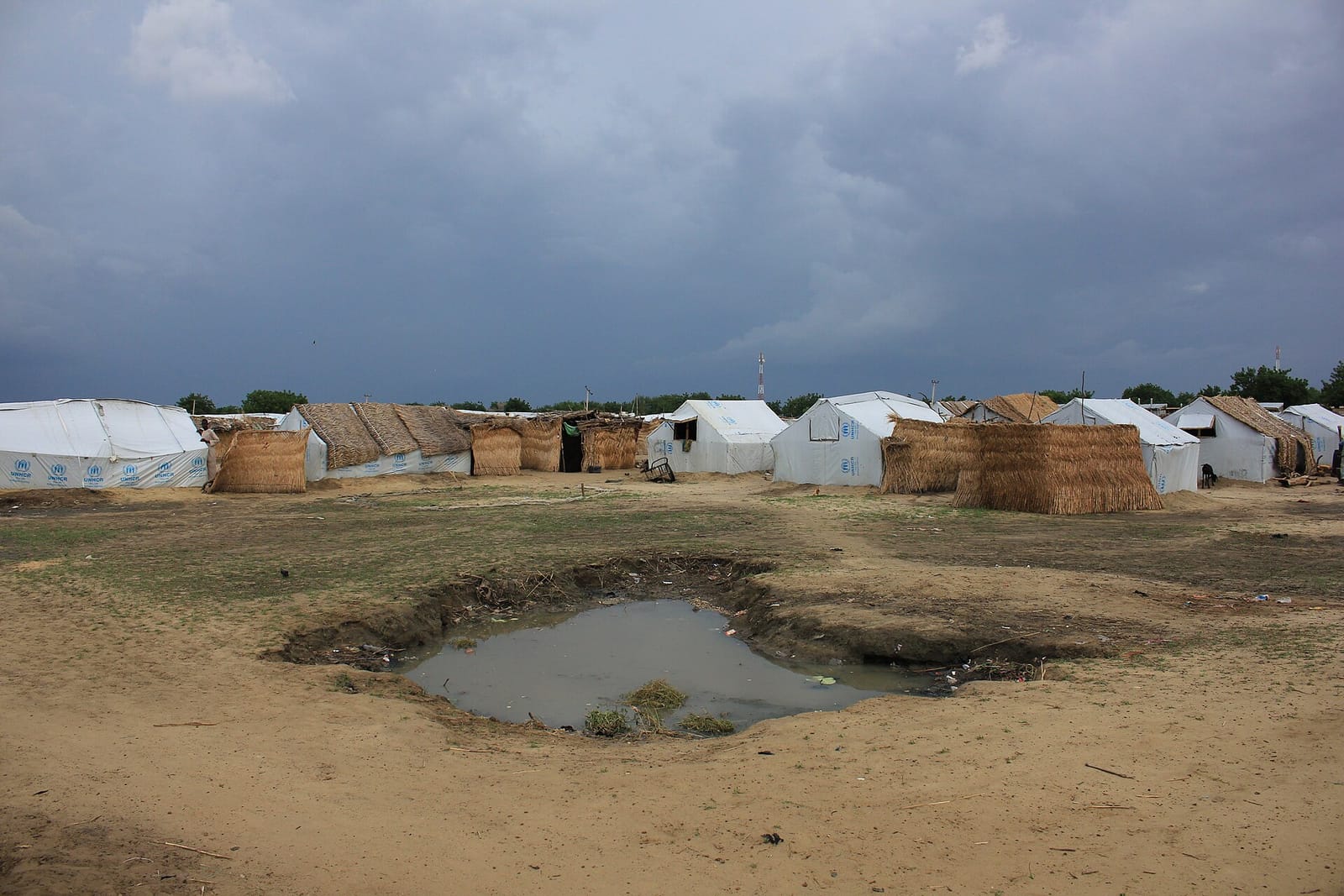 Auwal musa business center photo 4