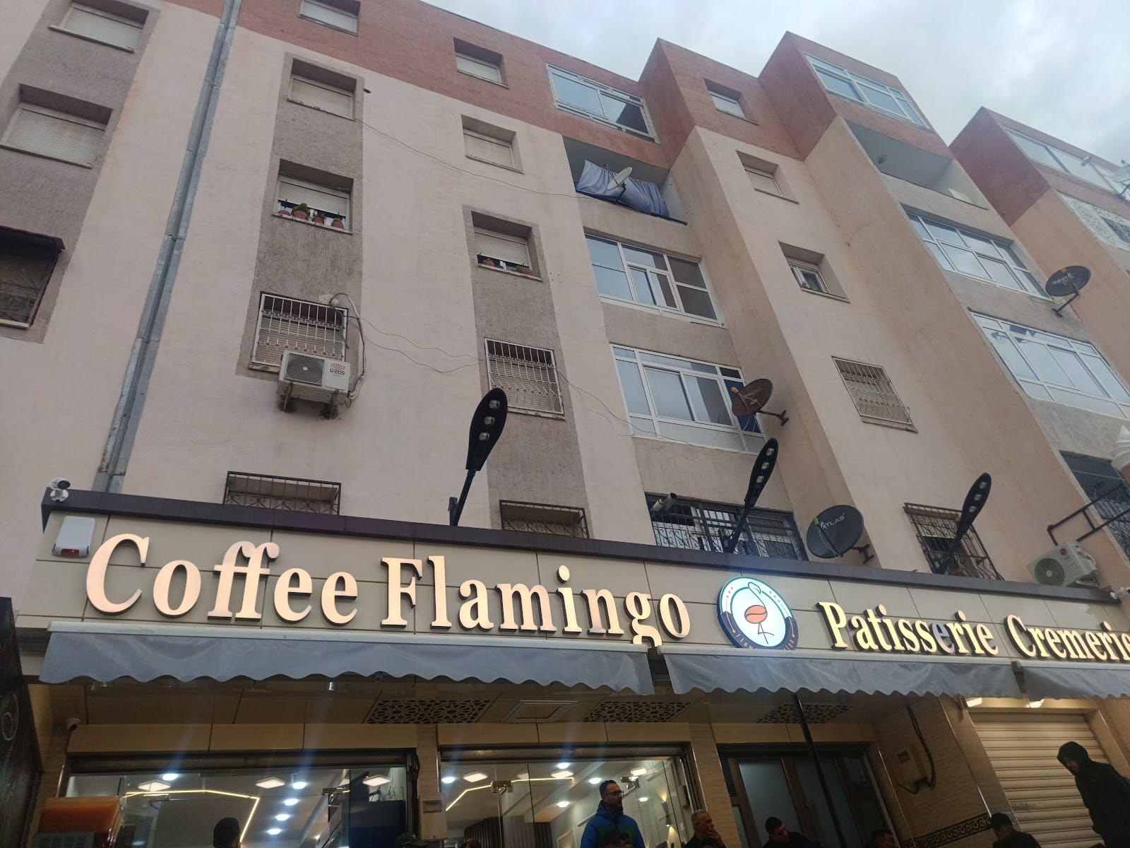 Coffee Flamingo