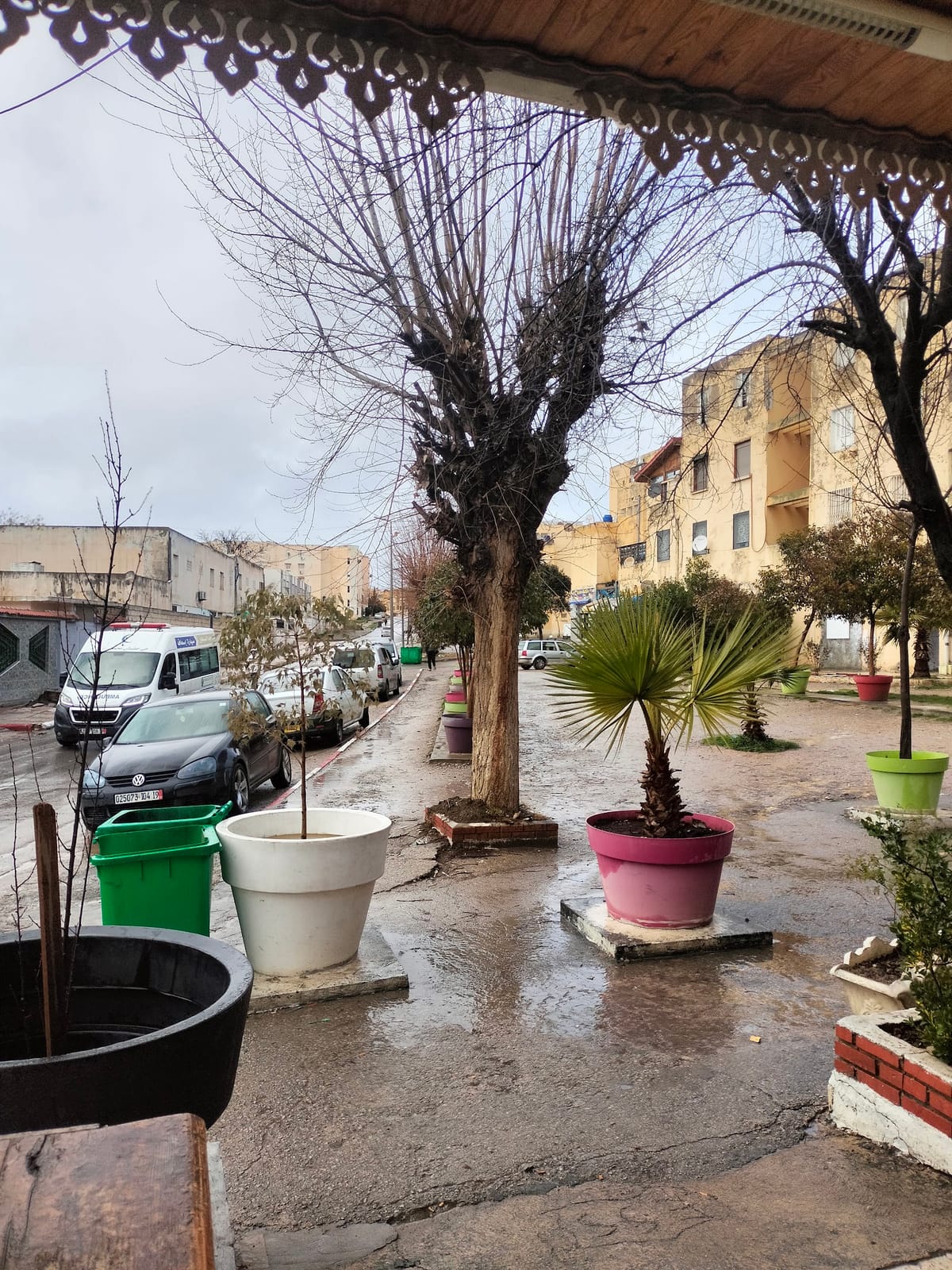 Café farid