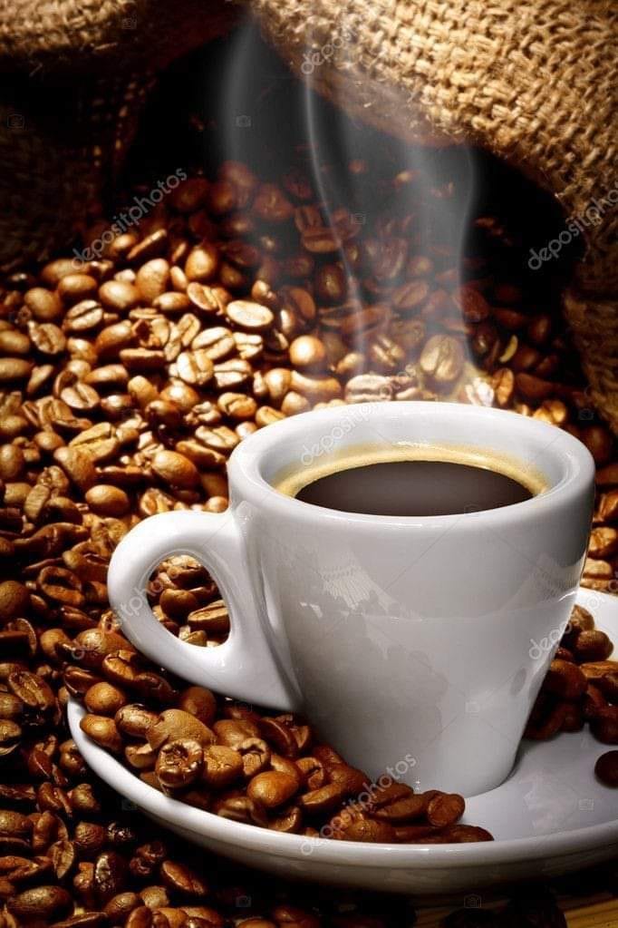 Mundo café sidi Bel Abbès