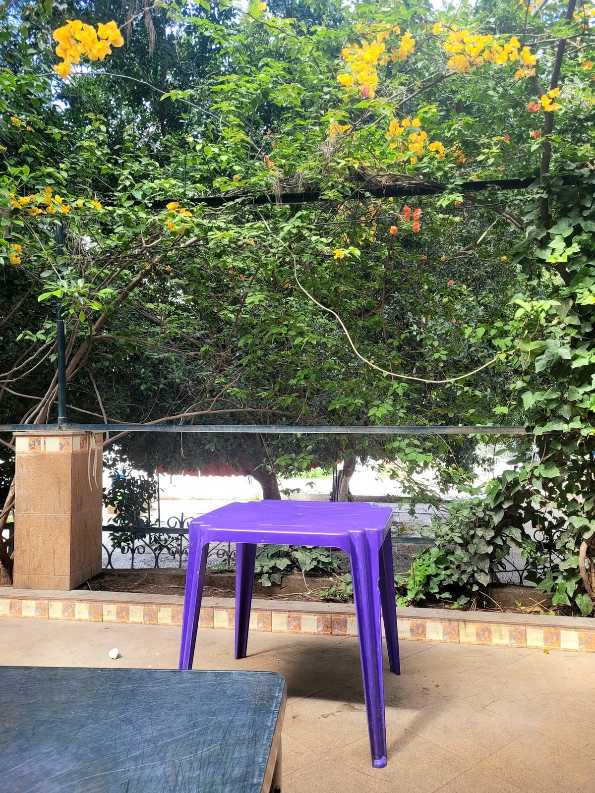Café Skabetch
