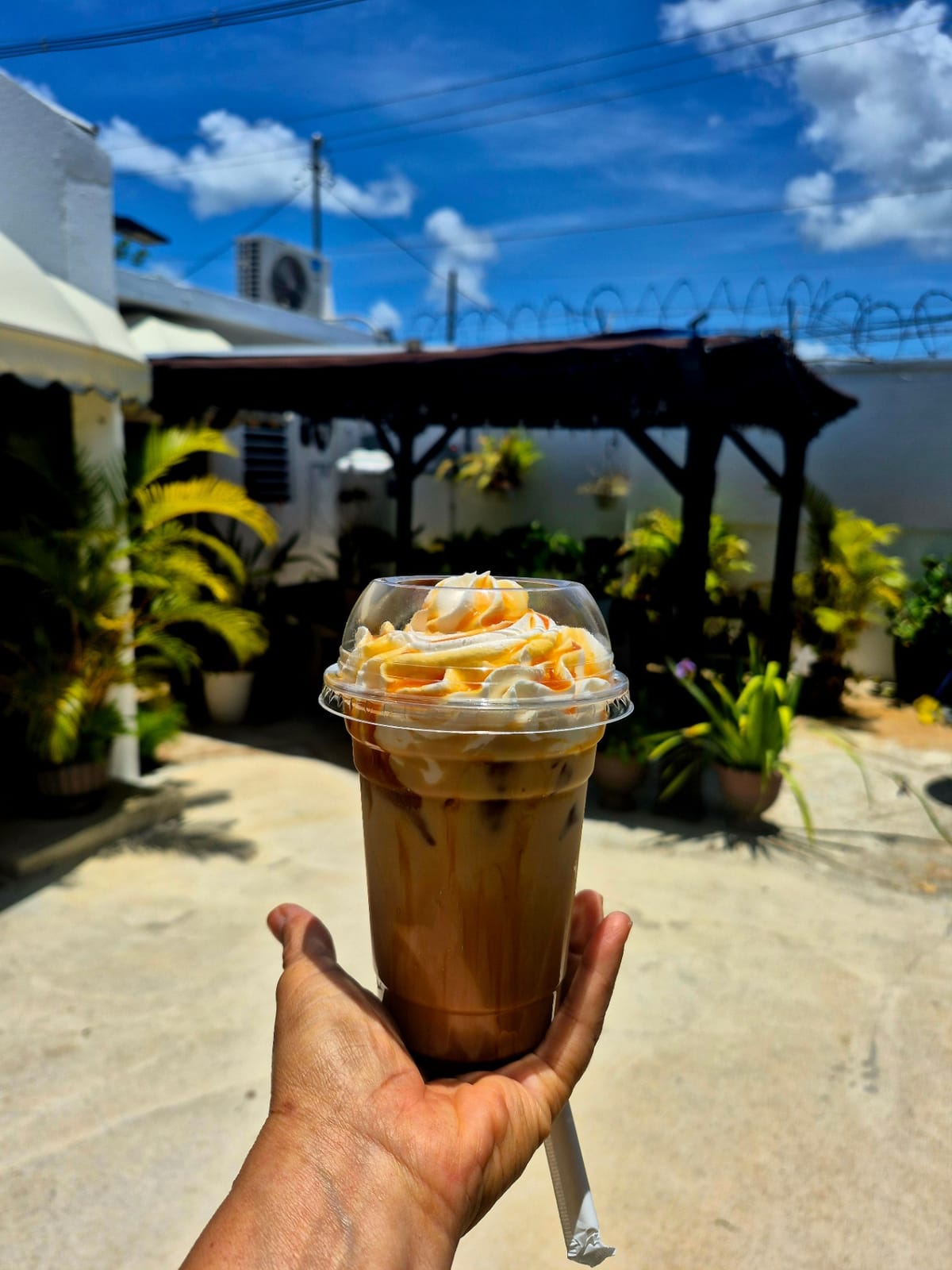 Keto, Cafe & GO photo 6