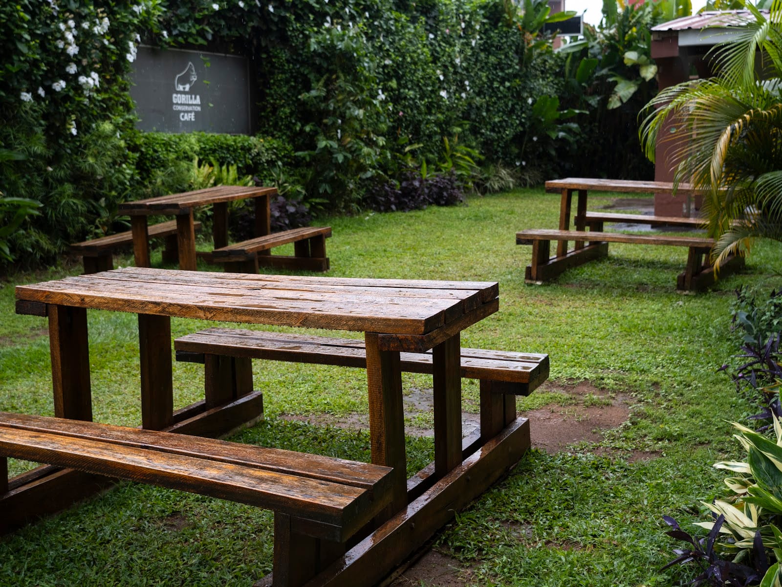 Gorilla Conservation Café - Entebbe