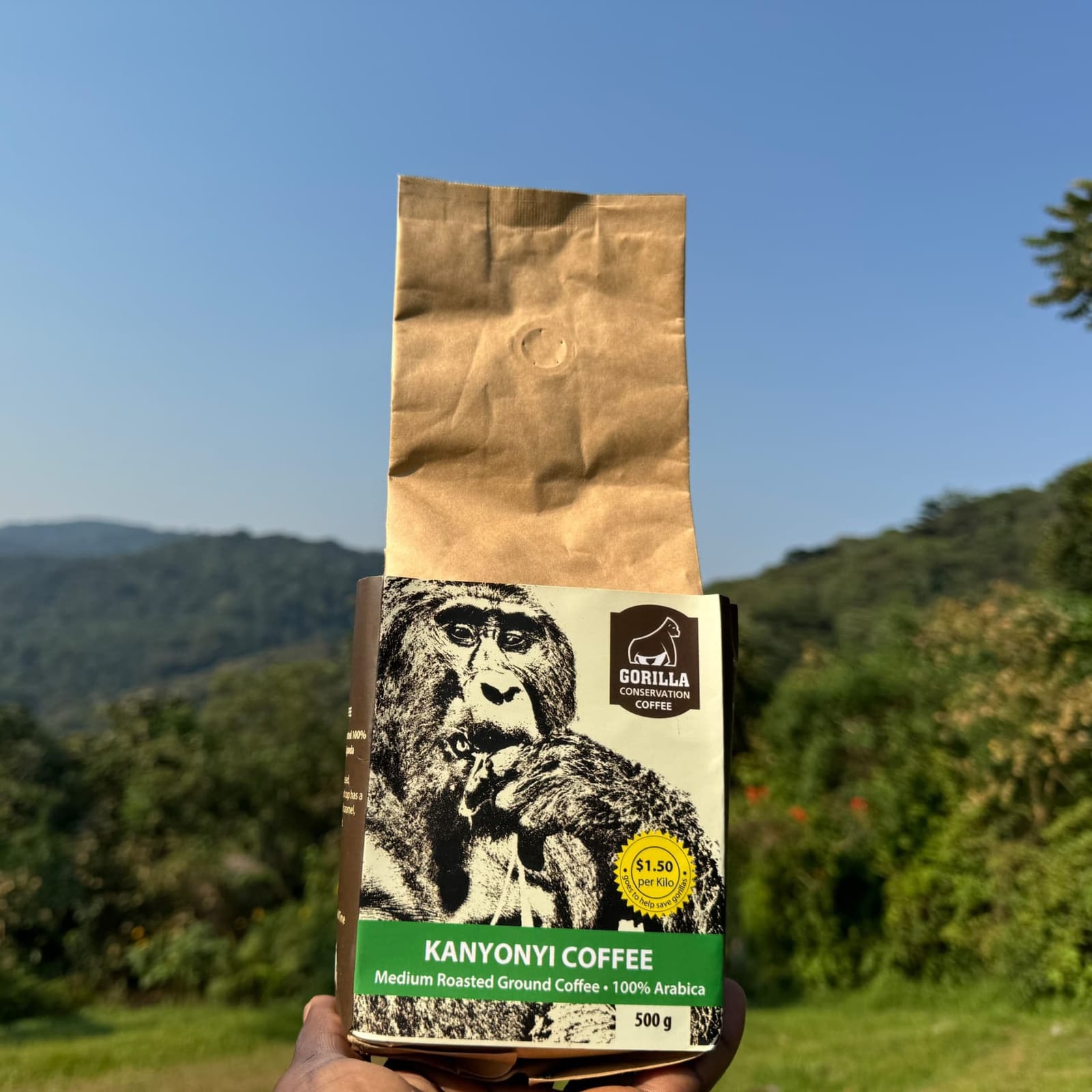 Gorilla Conservation Café - Entebbe photo 8