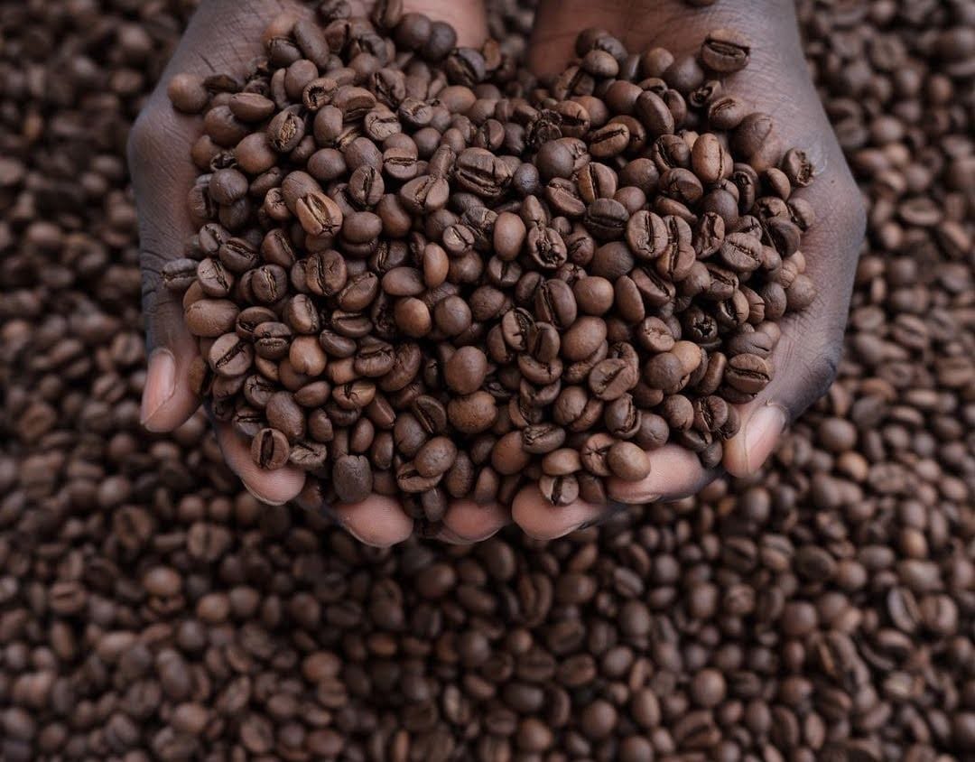 Tasse Coffee Tano Coffee