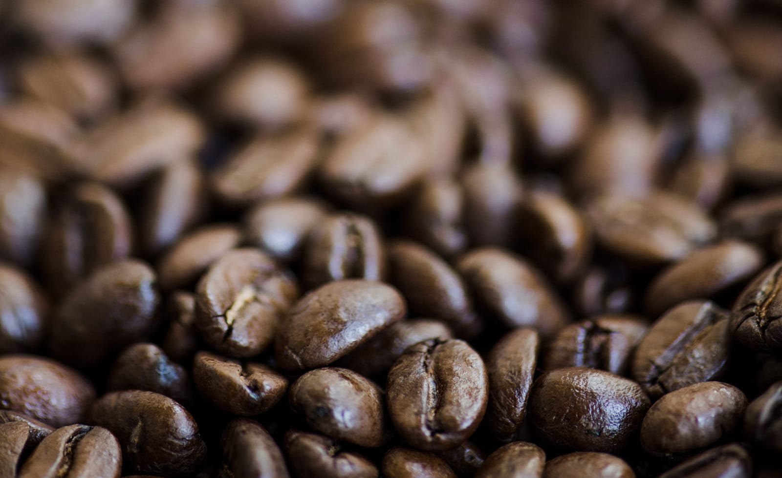 Buja Bean Coffee photo 4