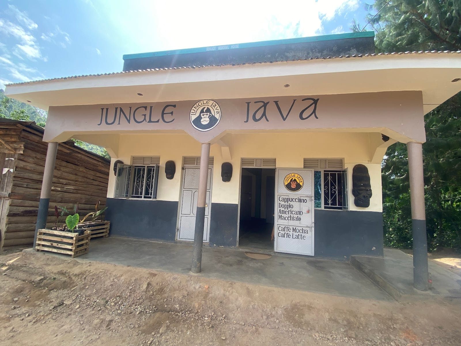 Jungle Java cafe