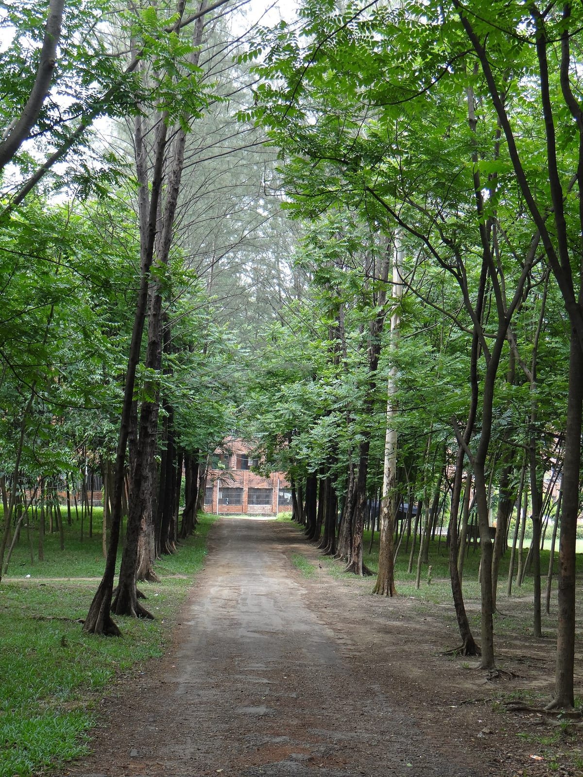 Sector 24 photo 2