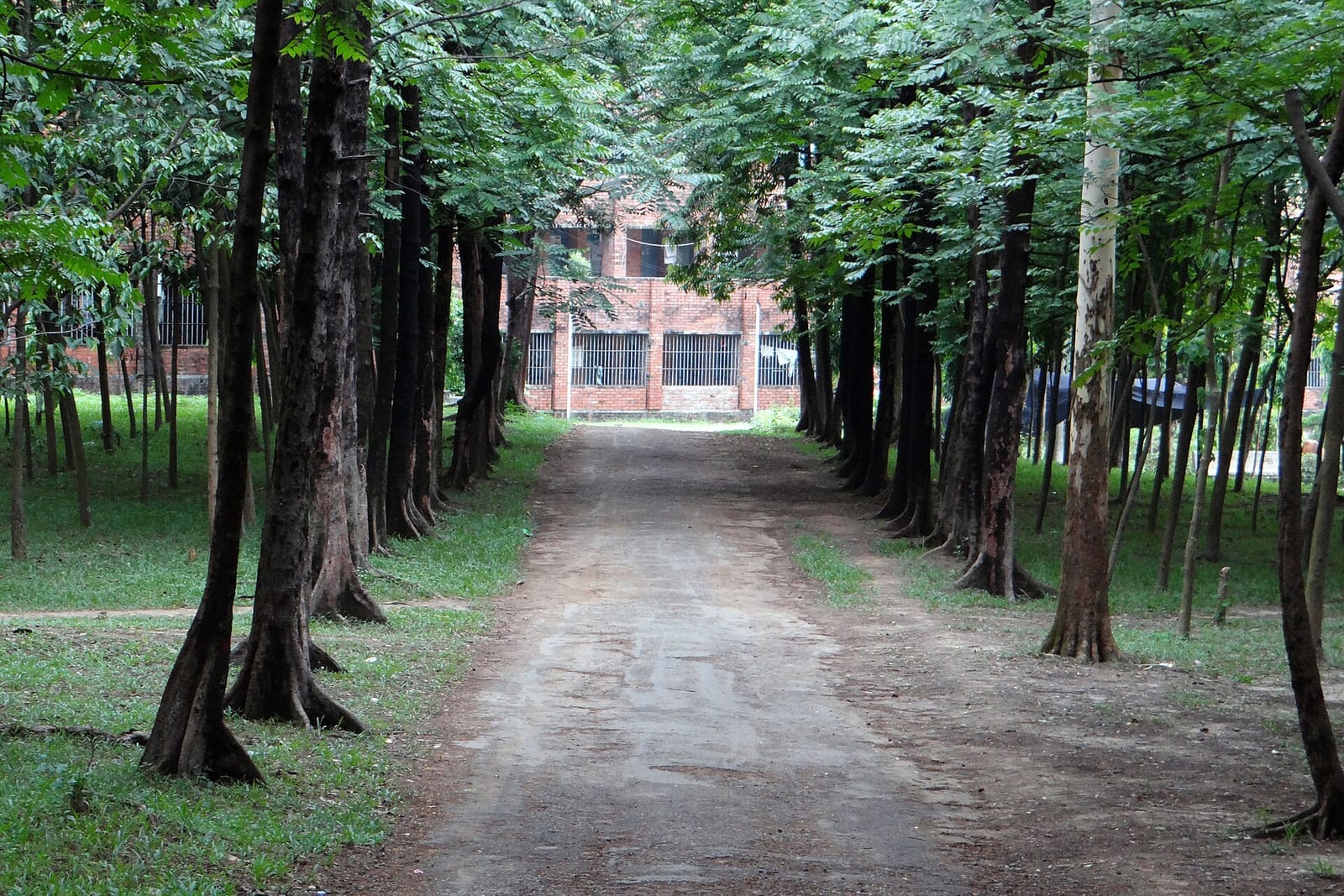 Sector 24 photo 4