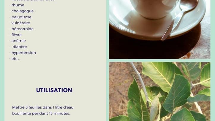 Café Fatou Bintou