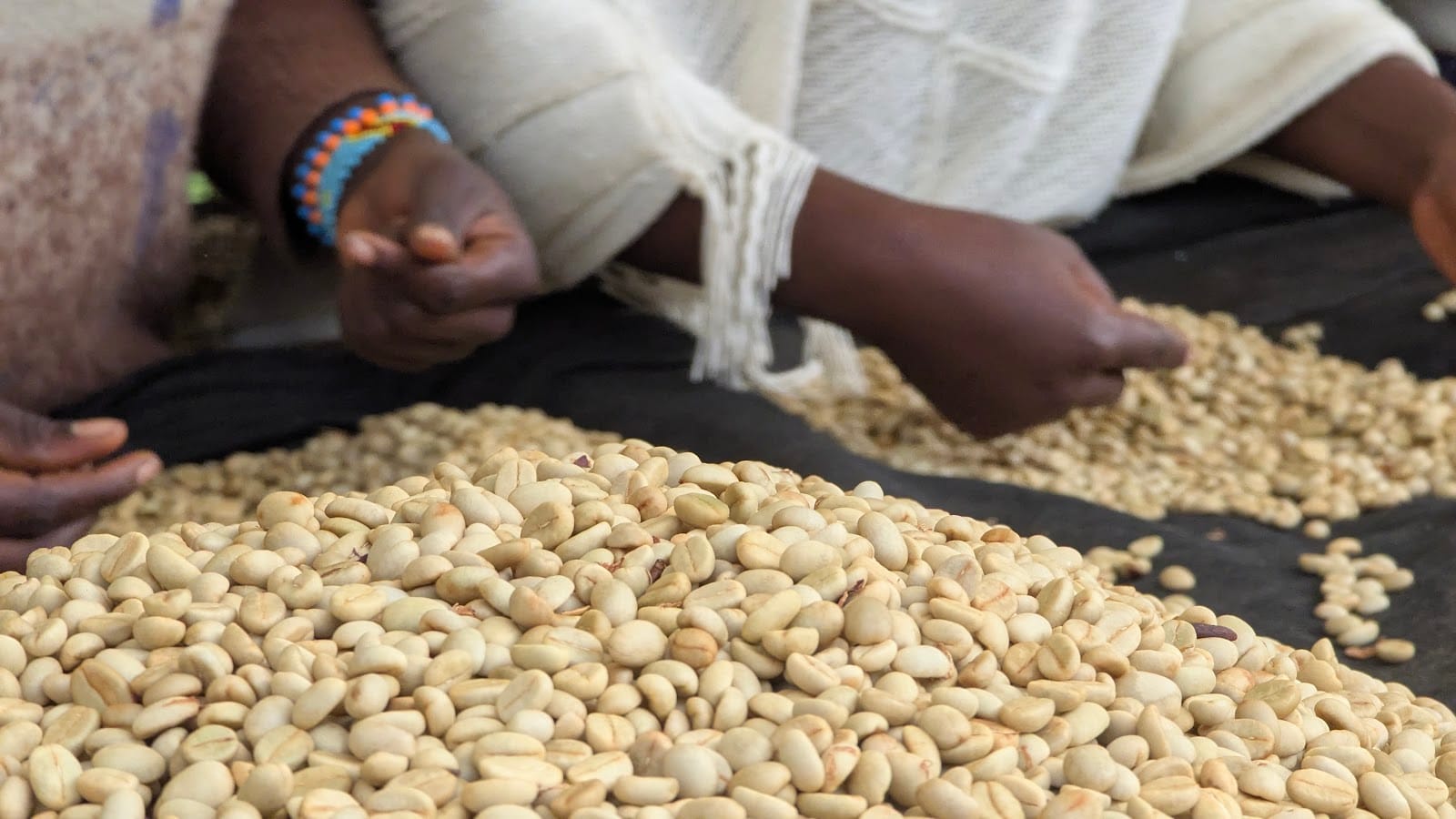Coopérative Kawa Kabuya