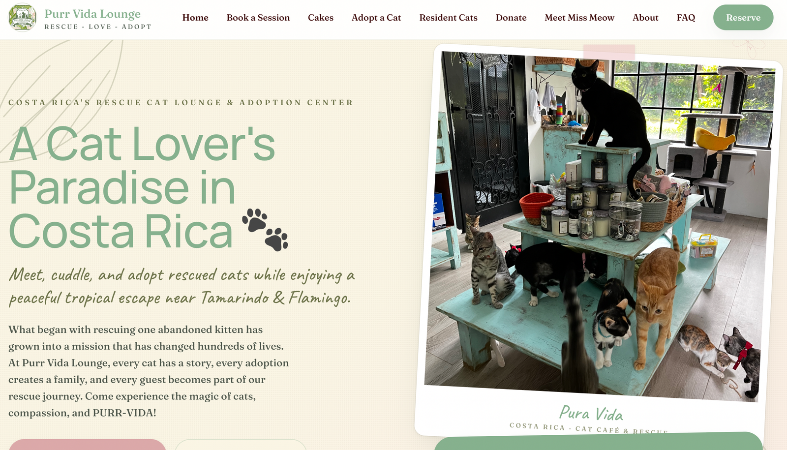 Purr Vida Lounge Cat Cafe