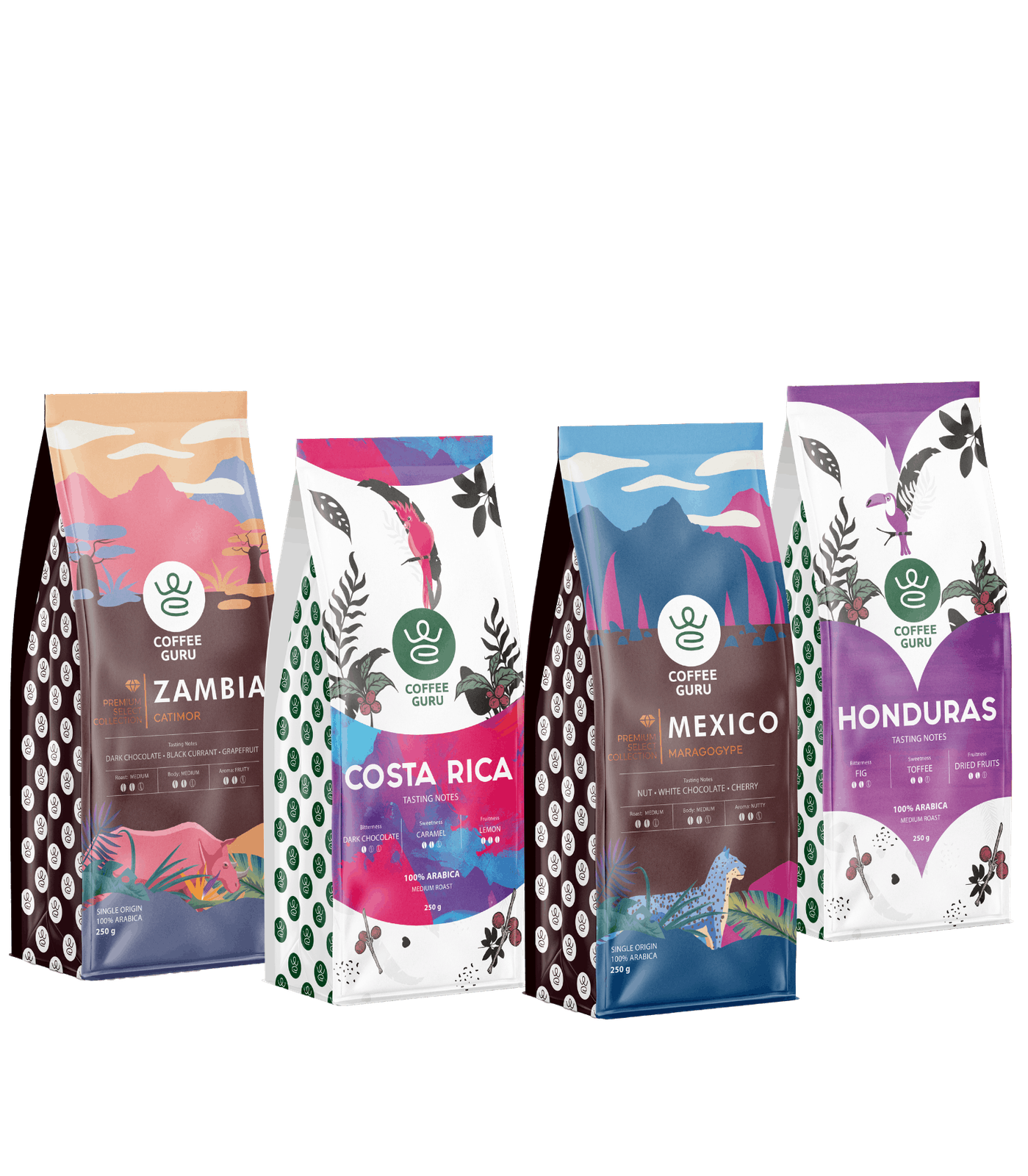SIA Coffee Guru Latvia photo 3