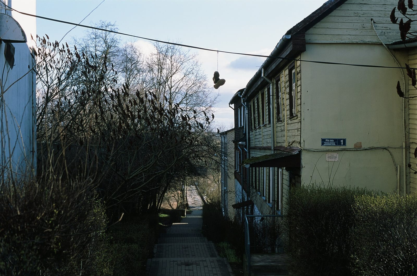 Zodiaks photo 3