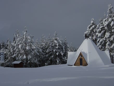 Baili, kafejnica photo 2