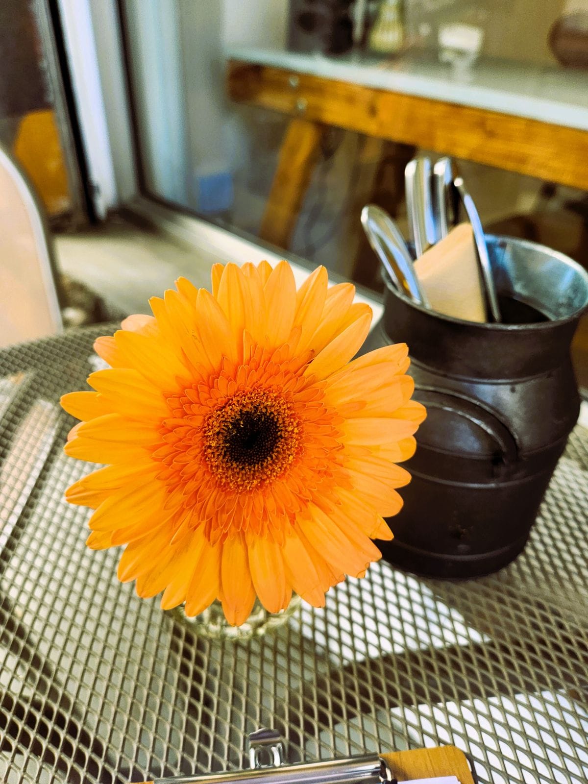 Café Moris