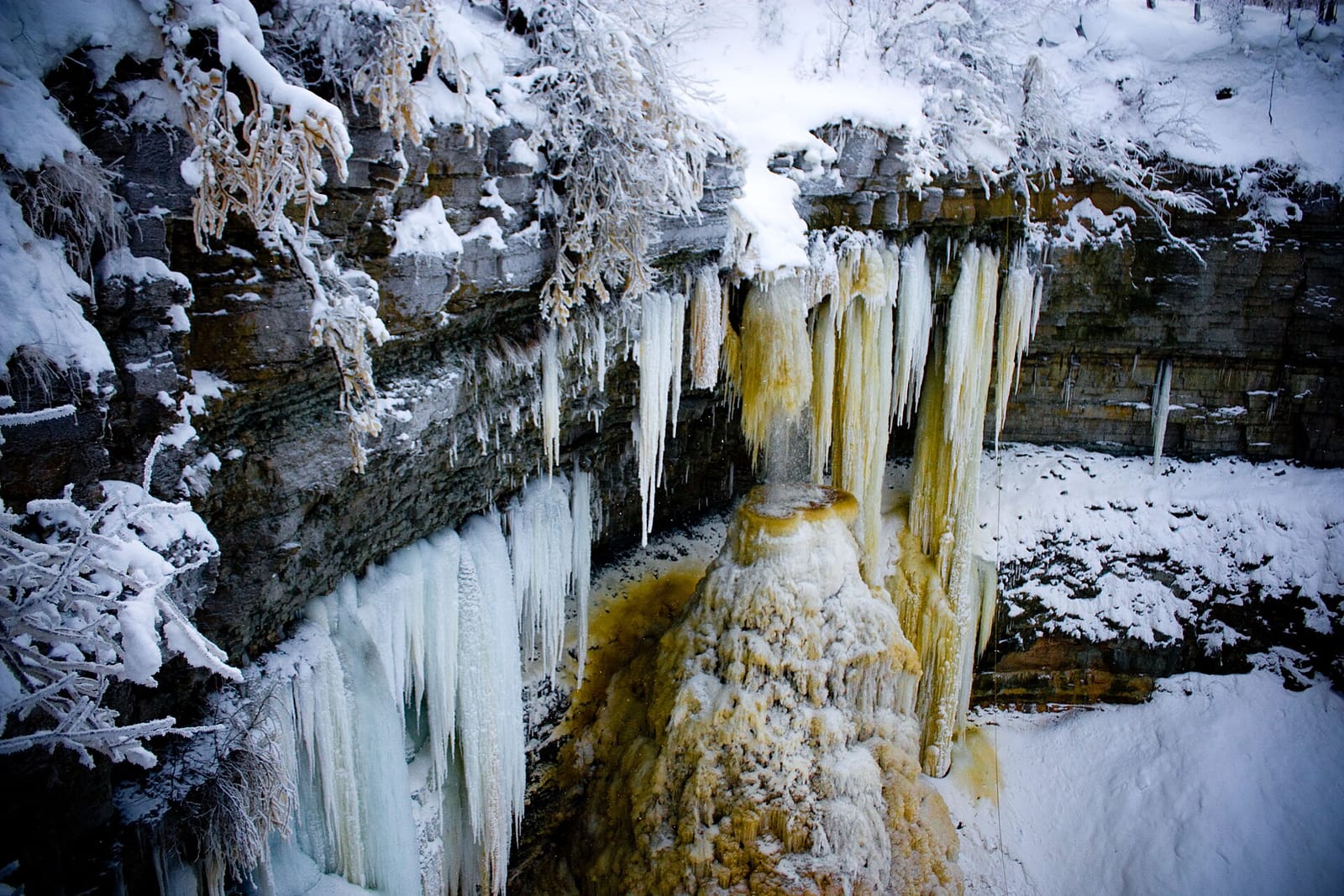 Kohvik photo 2