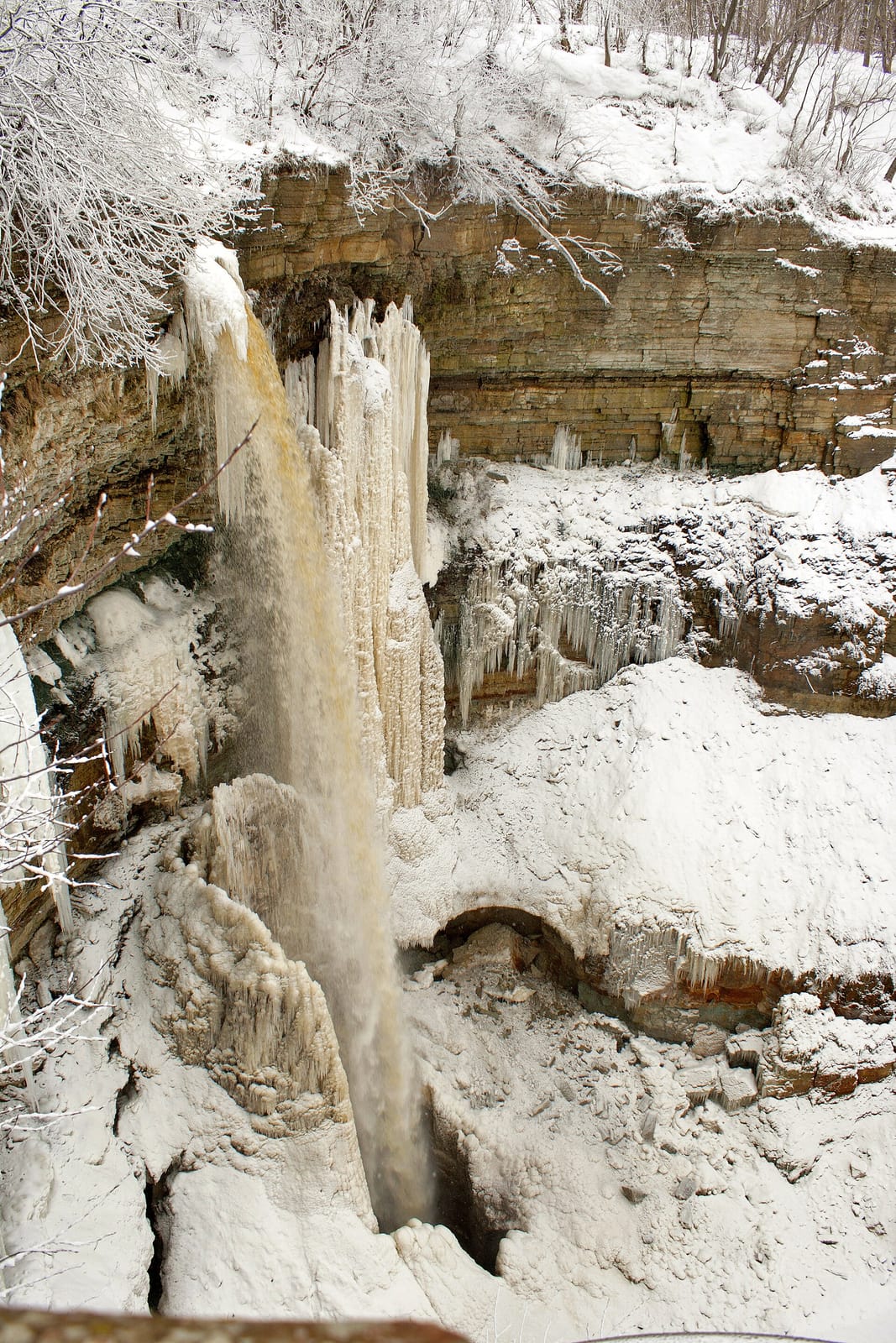 Kohvik photo 3