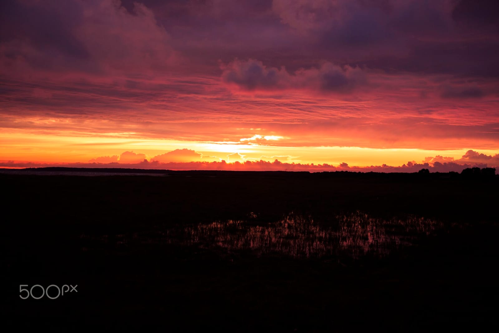 Endla Kohvik photo 5