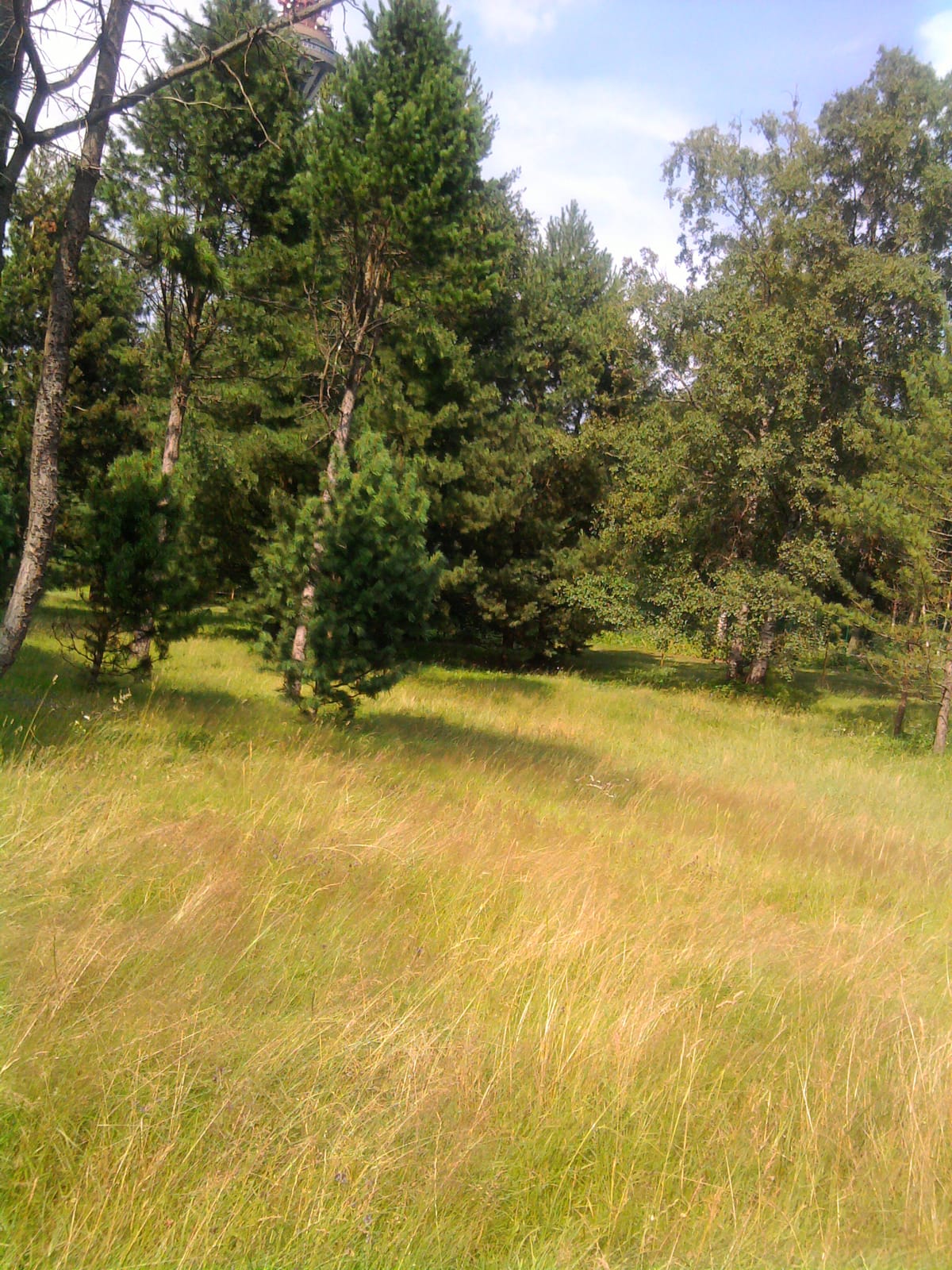 Herba Kohvik photo 3