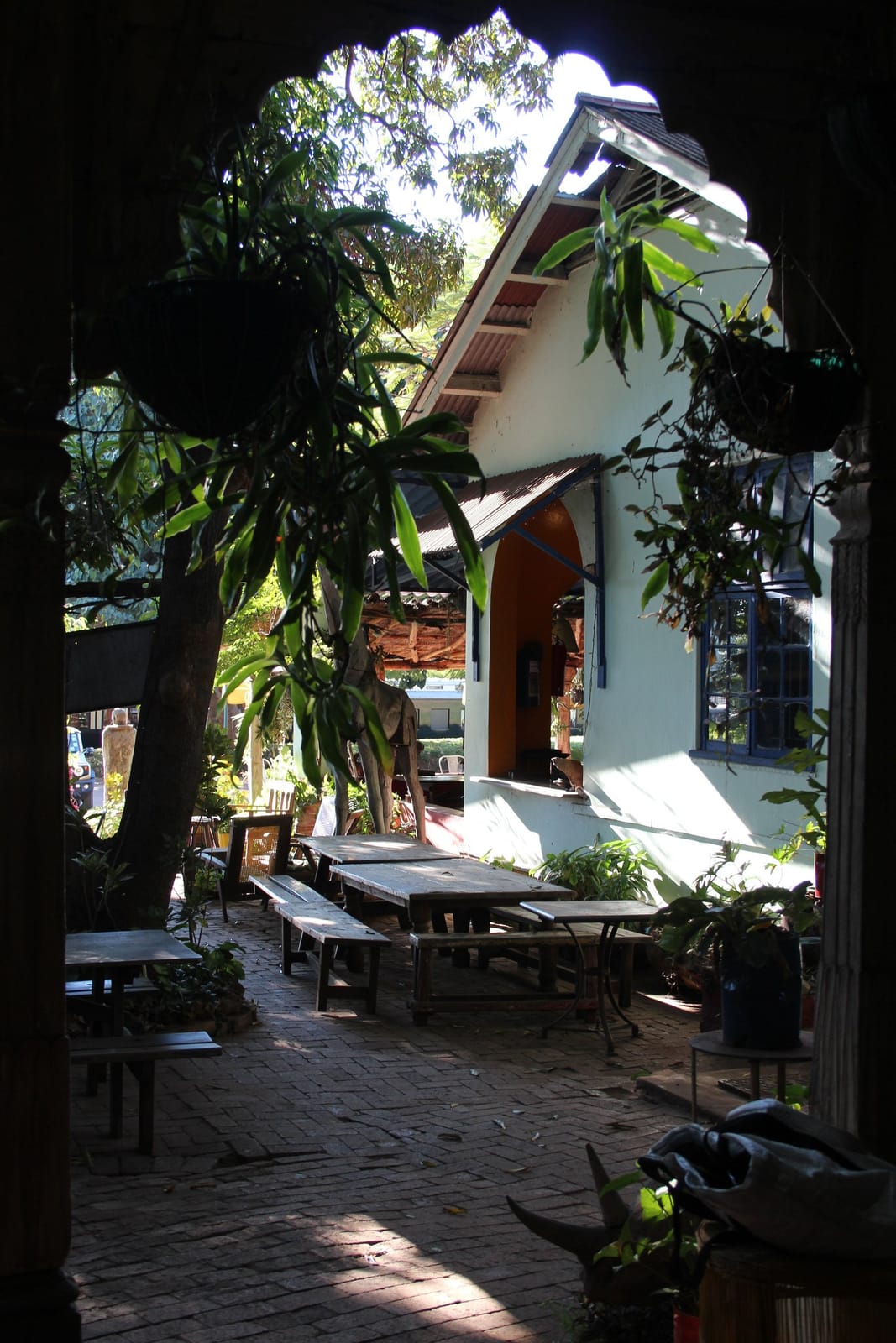 Victoria Falls Coffee Company photo 3