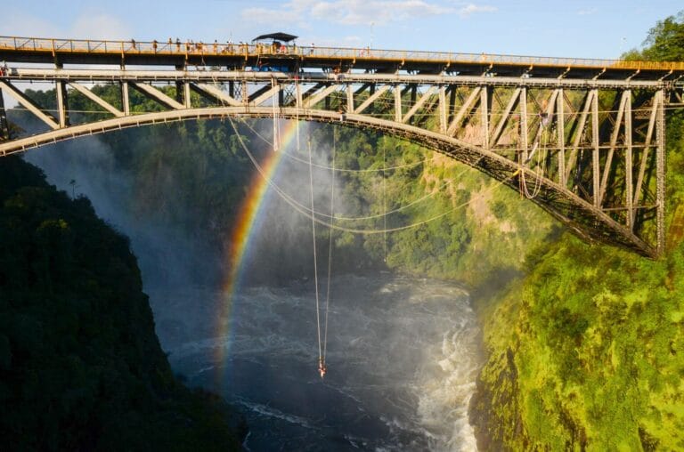 Shearwater Bungee Cafe & Registration photo 6