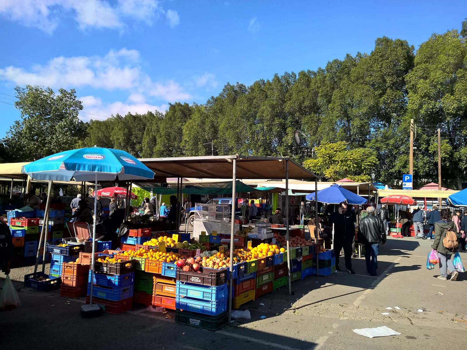 Constaza Kiosk(oxi)