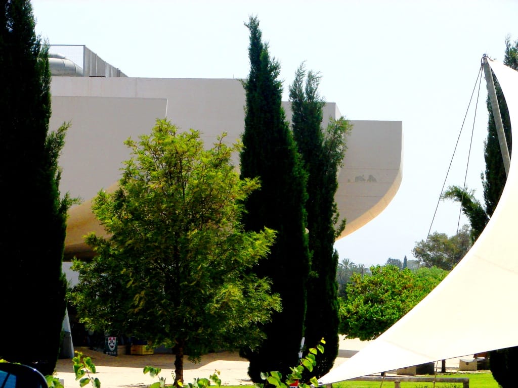 Coffee Berry ΧΩΔ 01 photo 2