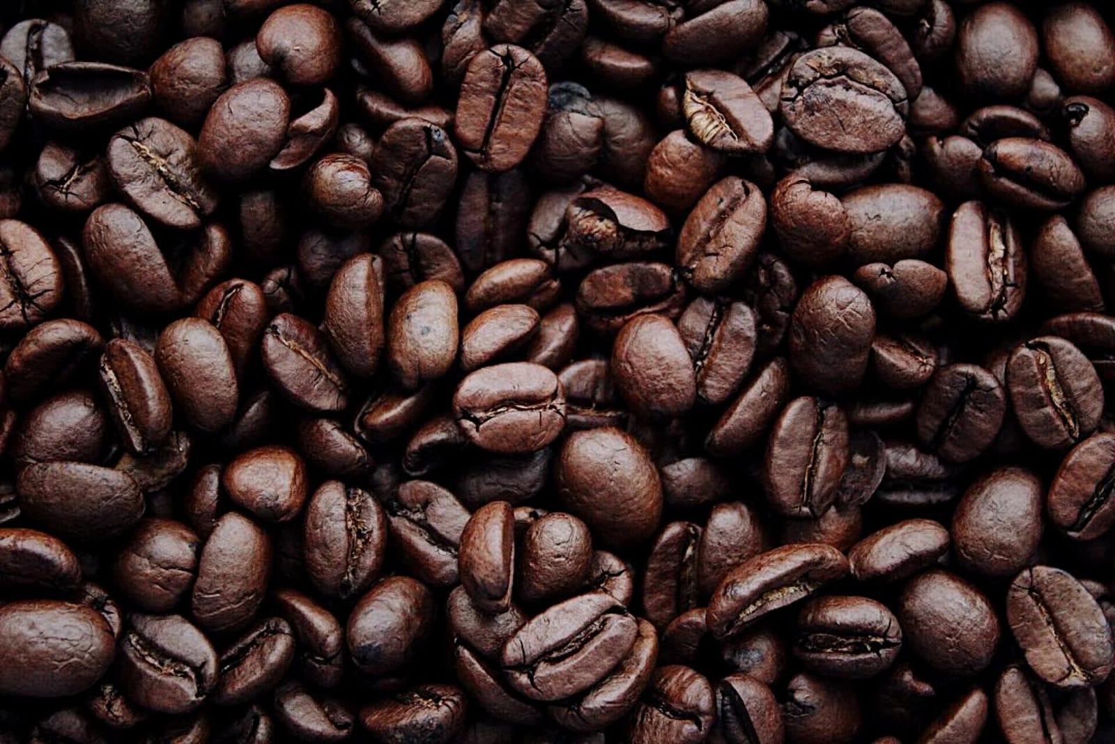 COFFEE BLISS