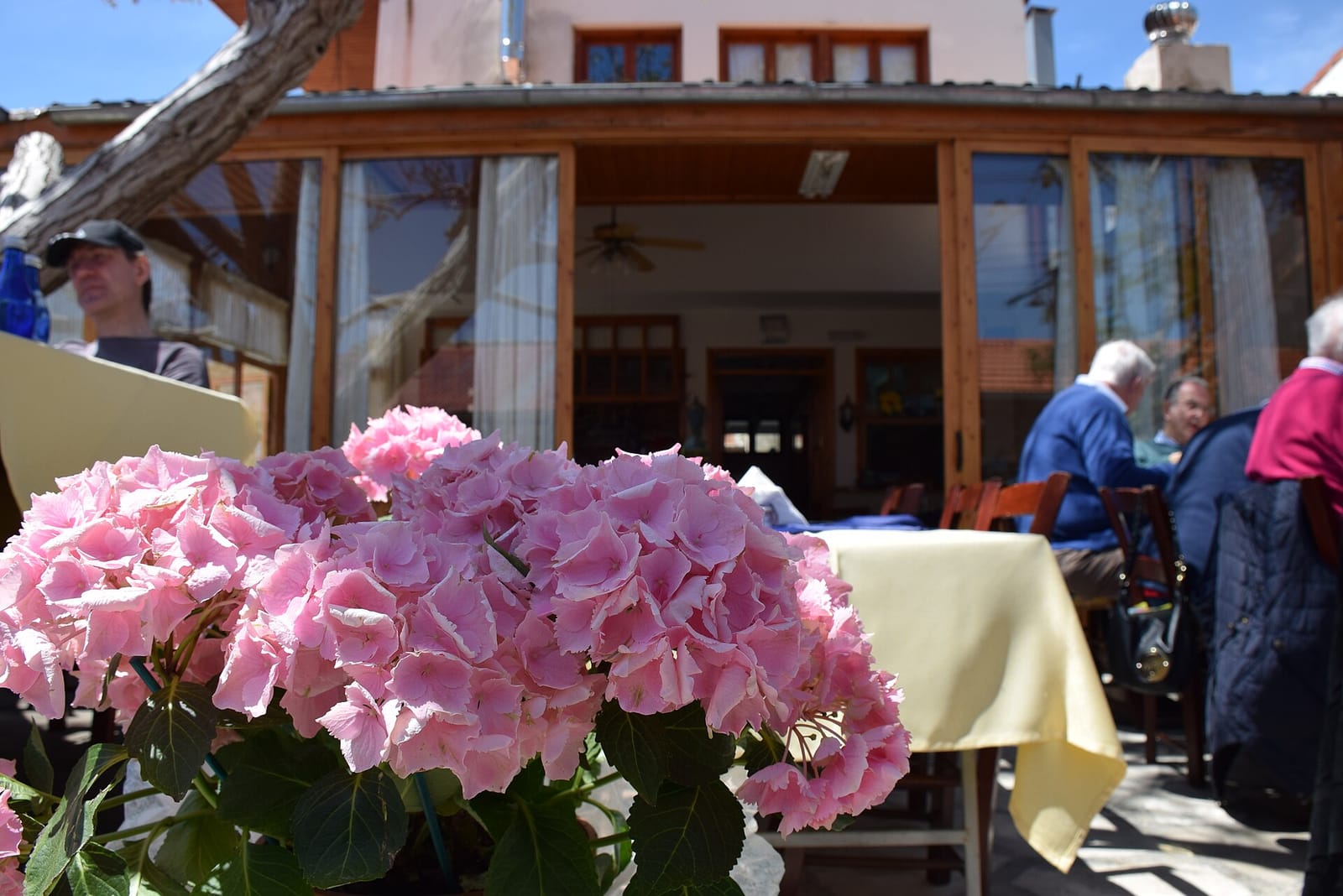 Platia Cafe photo 4
