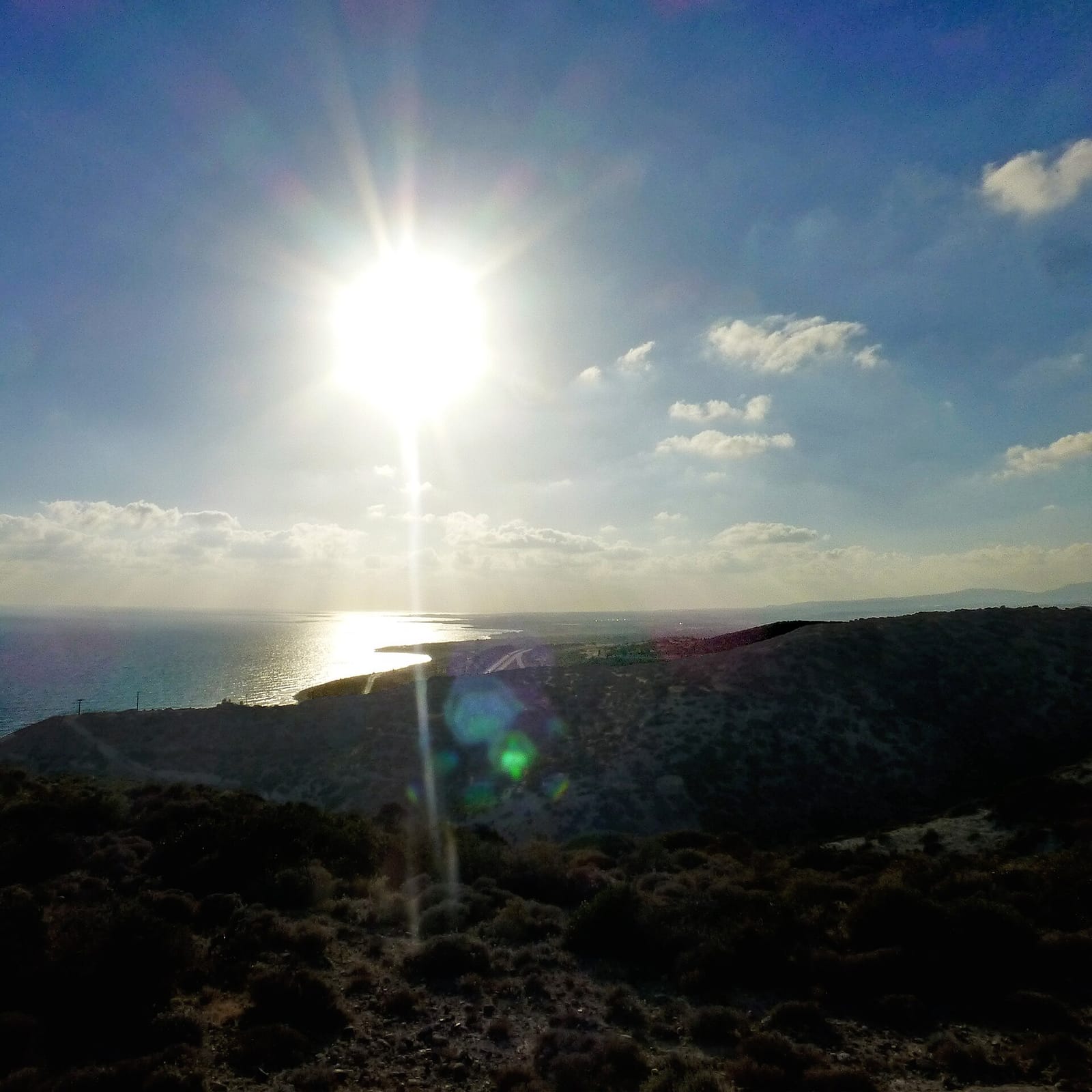The daily booster photo 3