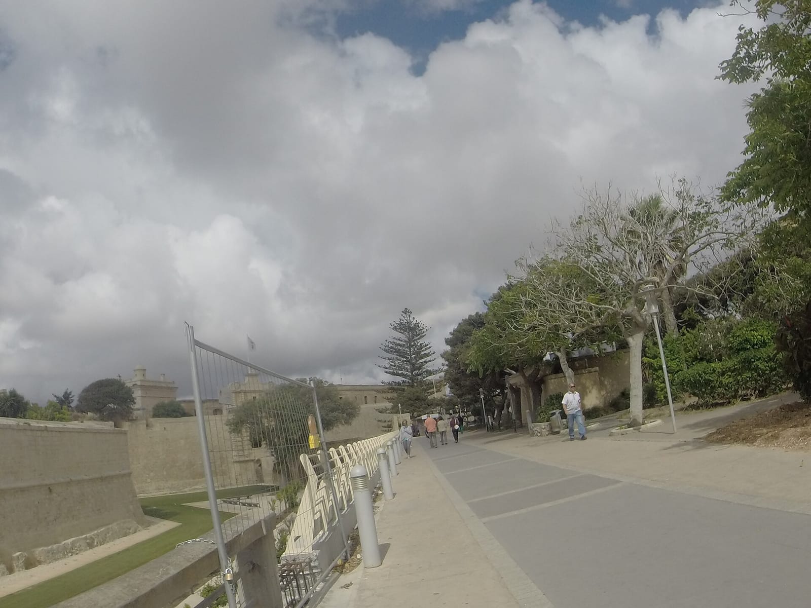 Granelli