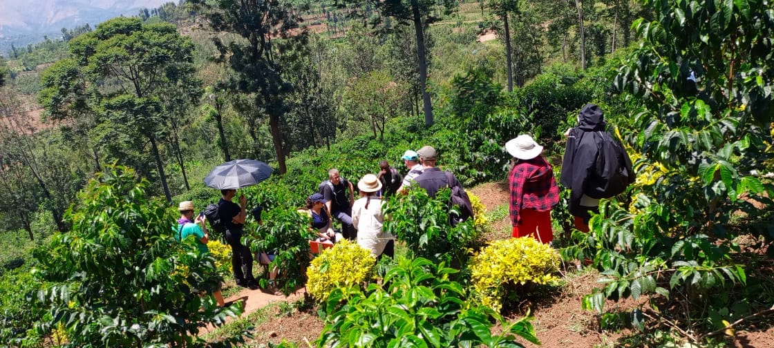 Huye Mountain Coffee photo 4