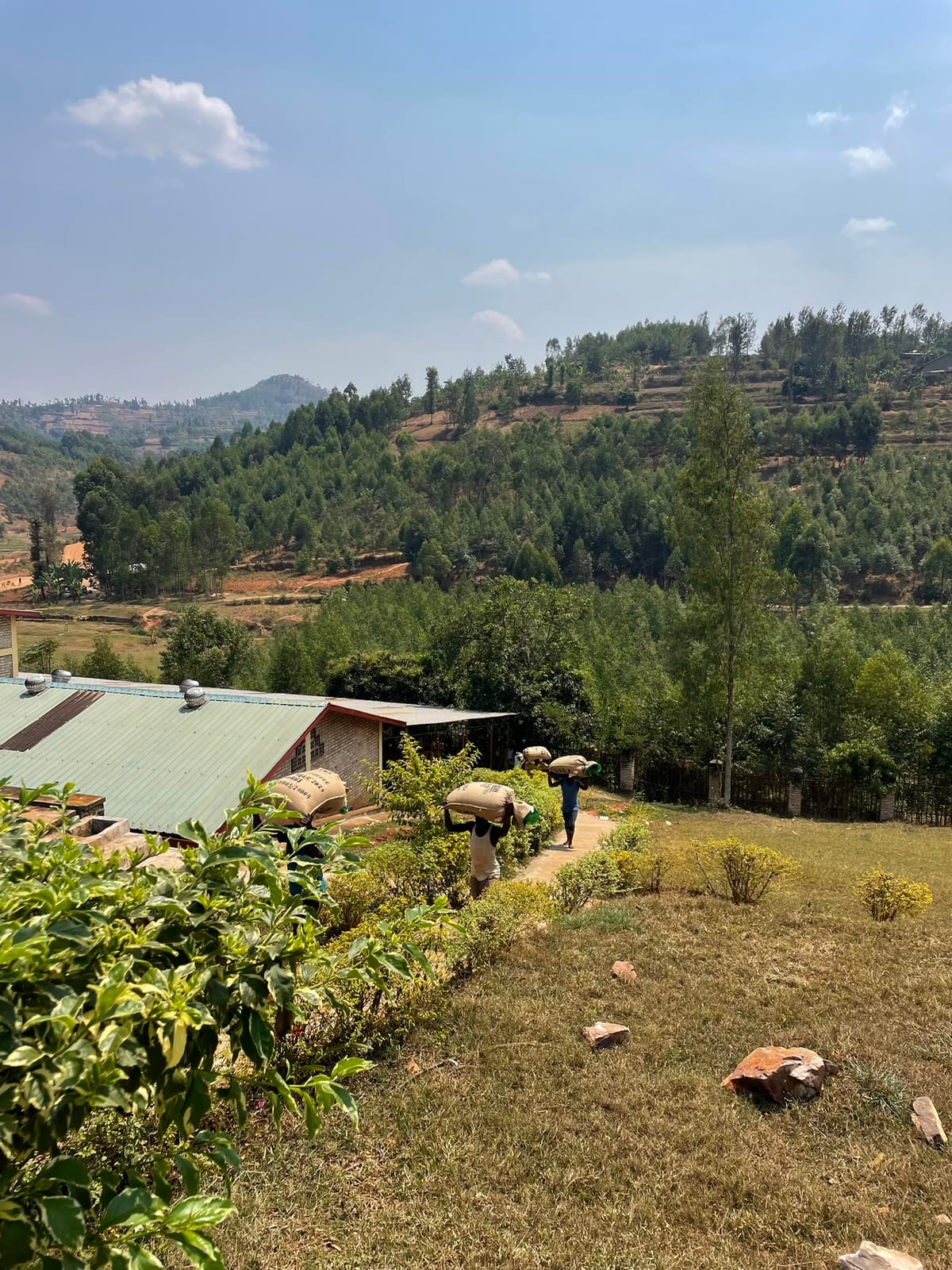 COFFEE DRY MILL HOUSE ABAHUZAMUGAMBI