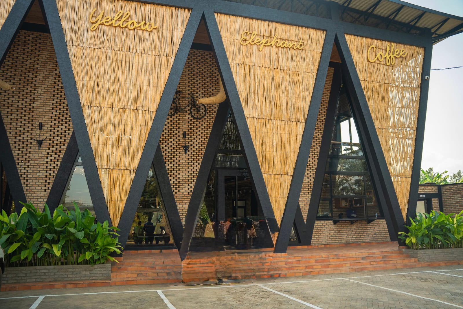 Yellow Elephant Coffee photo 3