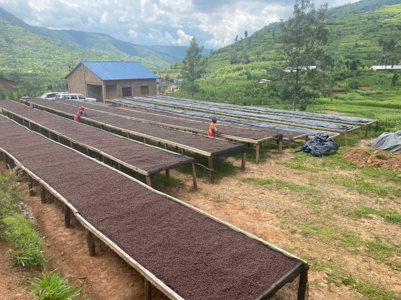 Gisa's Coffee Nyamata photo 2
