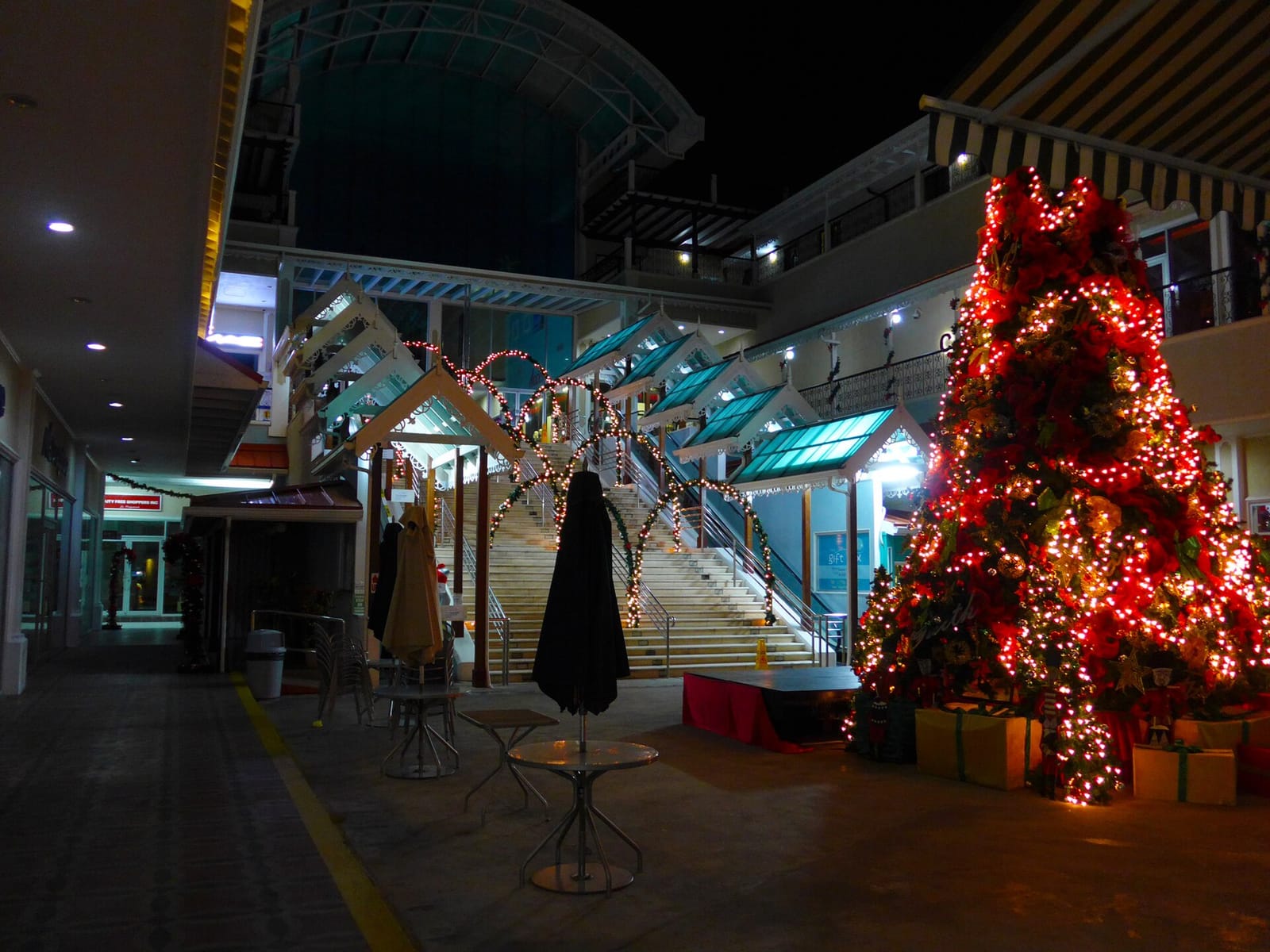 Blue Monkey Cafe photo 3
