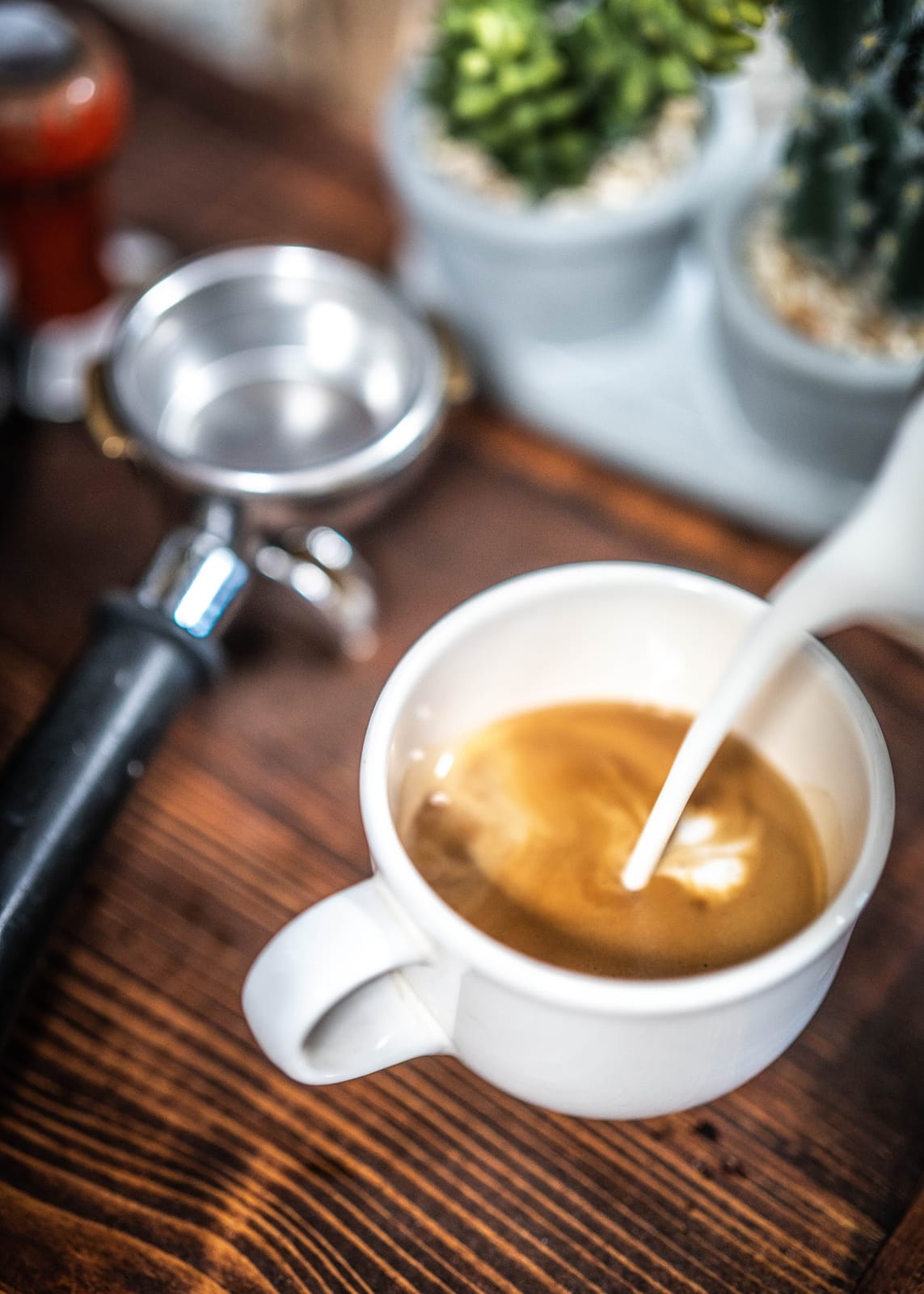 Brown Fox Coffee Co.