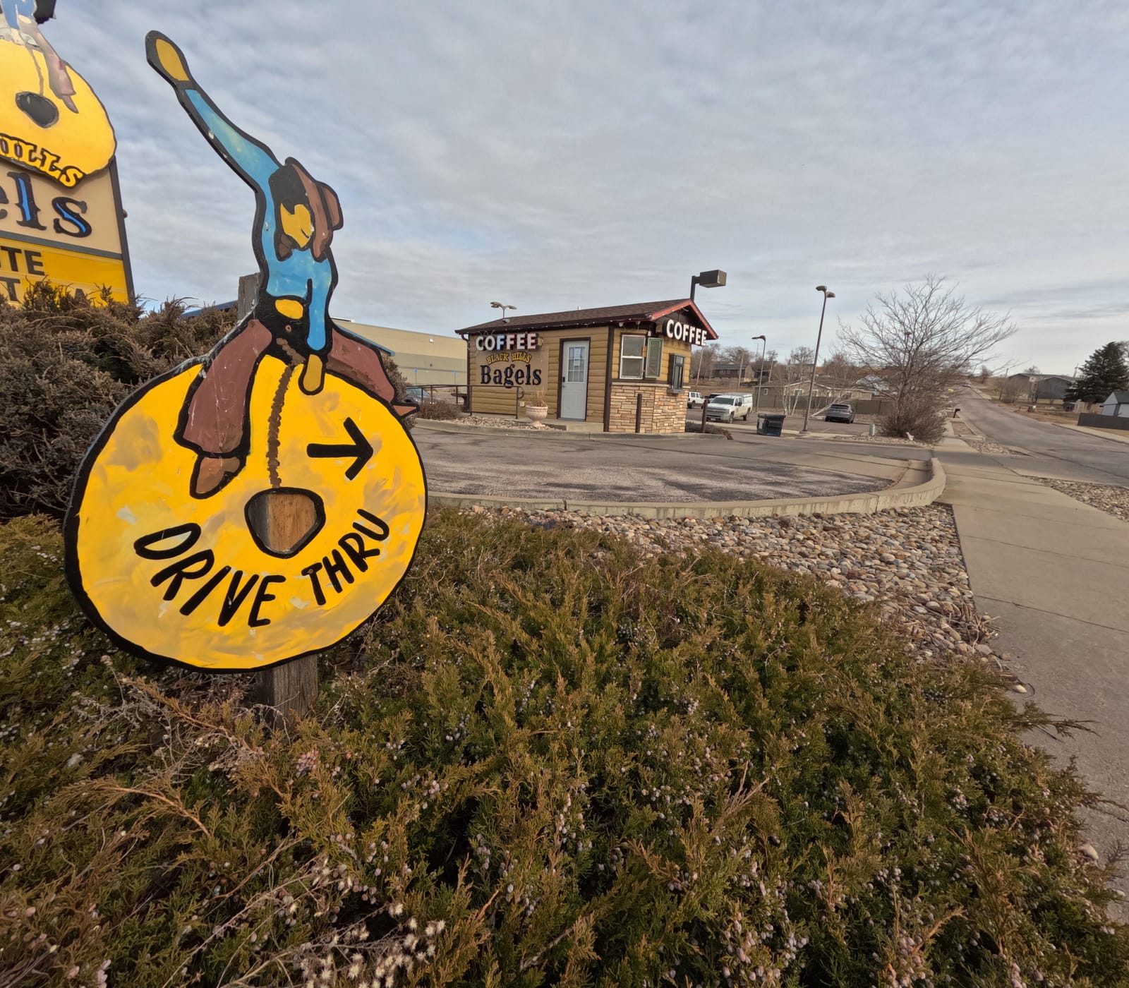 Black Hills Bagels photo 8