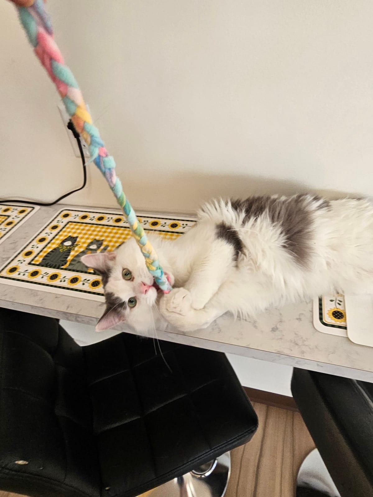 The Catitude Cafe photo 3