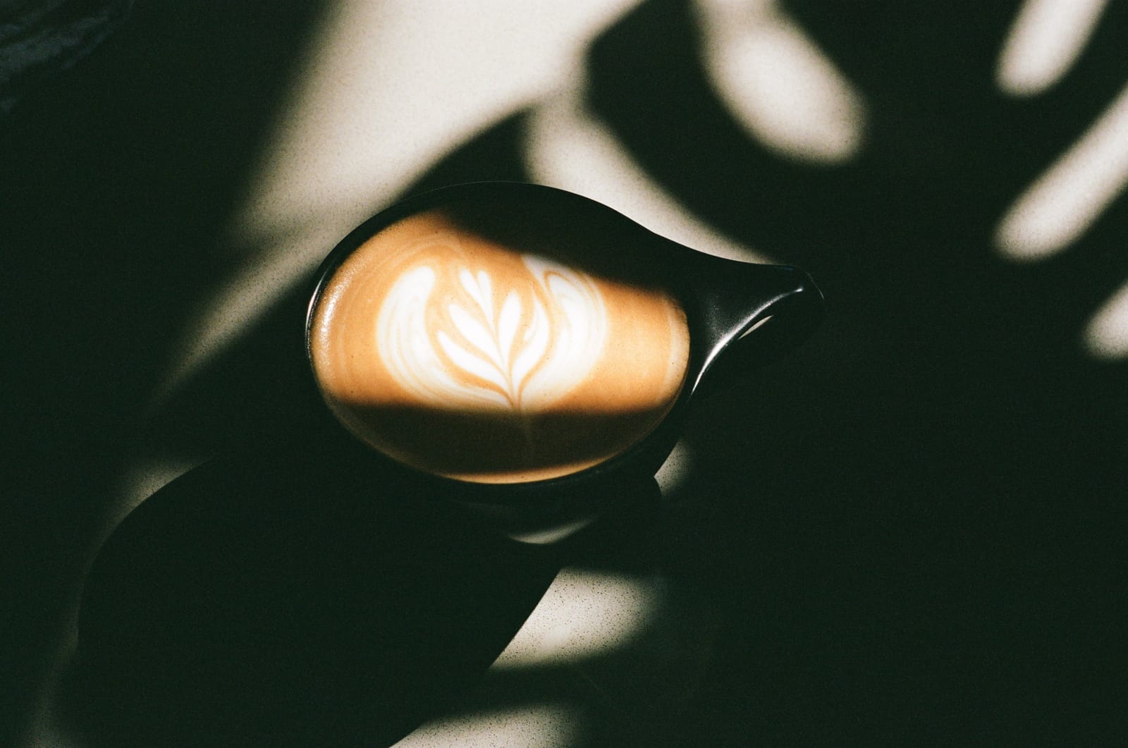 Remedy Coffee photo 3
