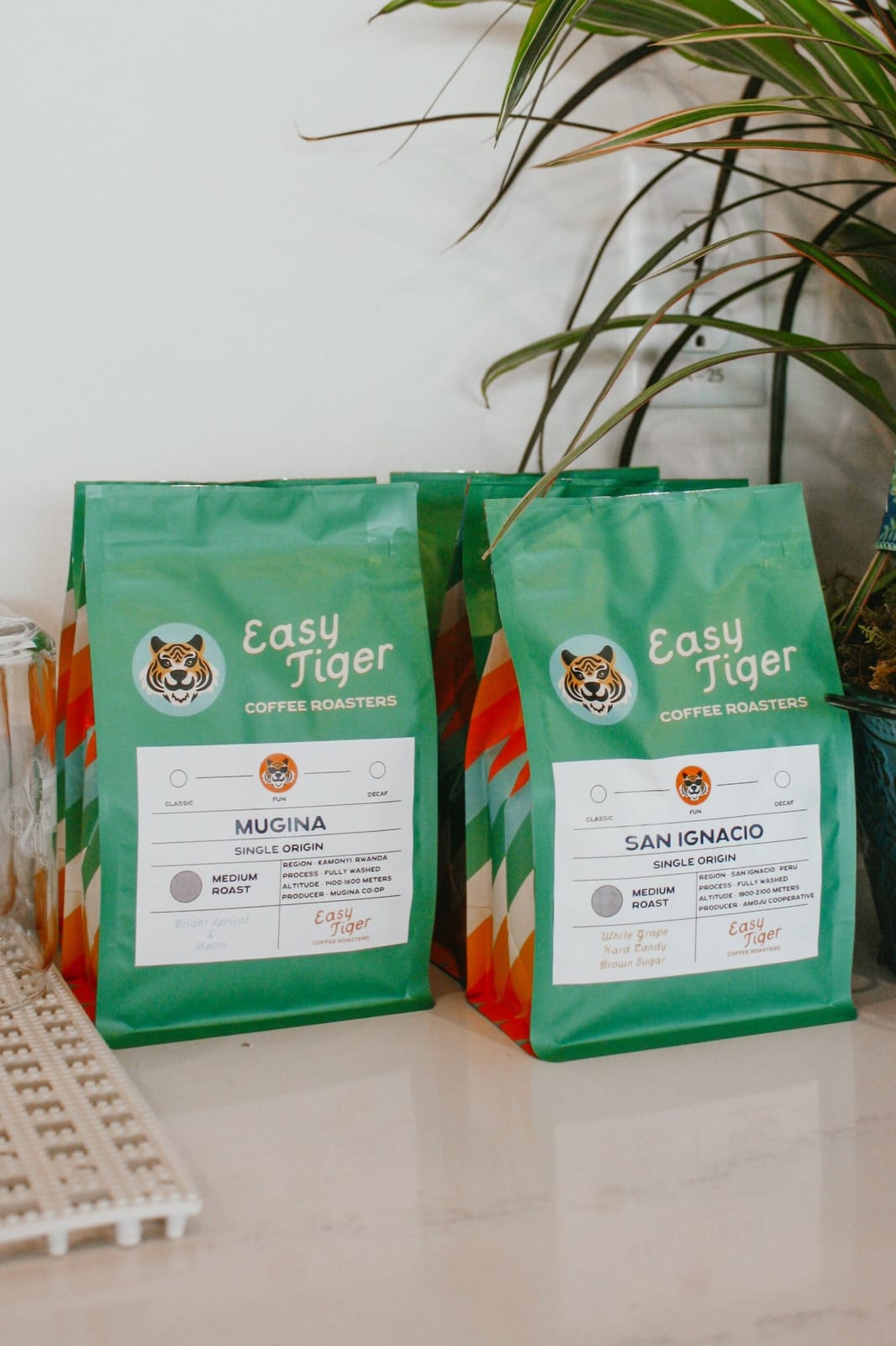Soul Craft Coffee photo 3