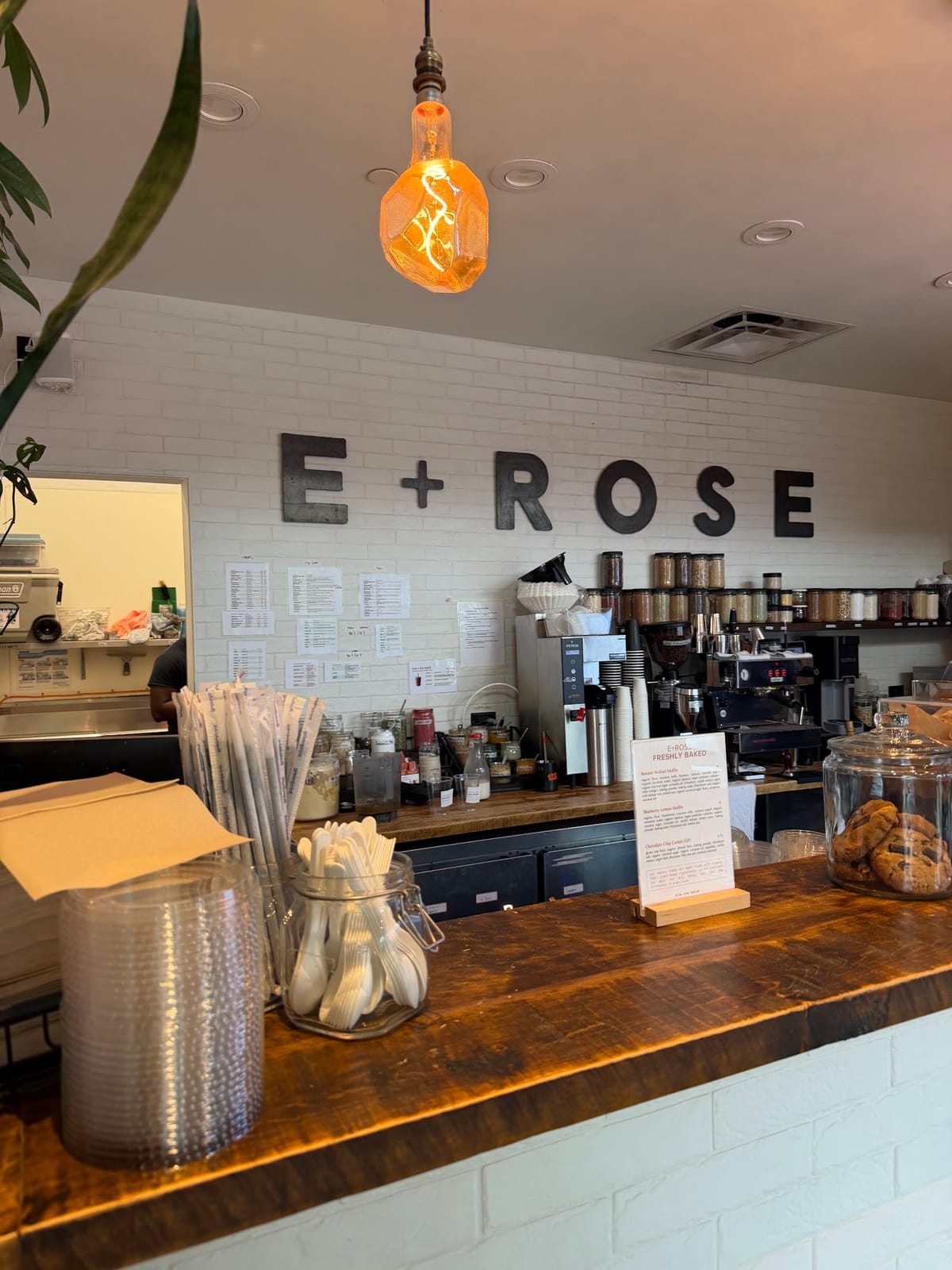 E+ROSE - The Gulch