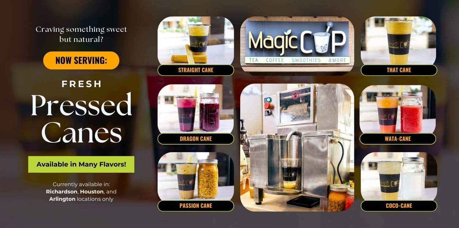 Magic Cup photo 3