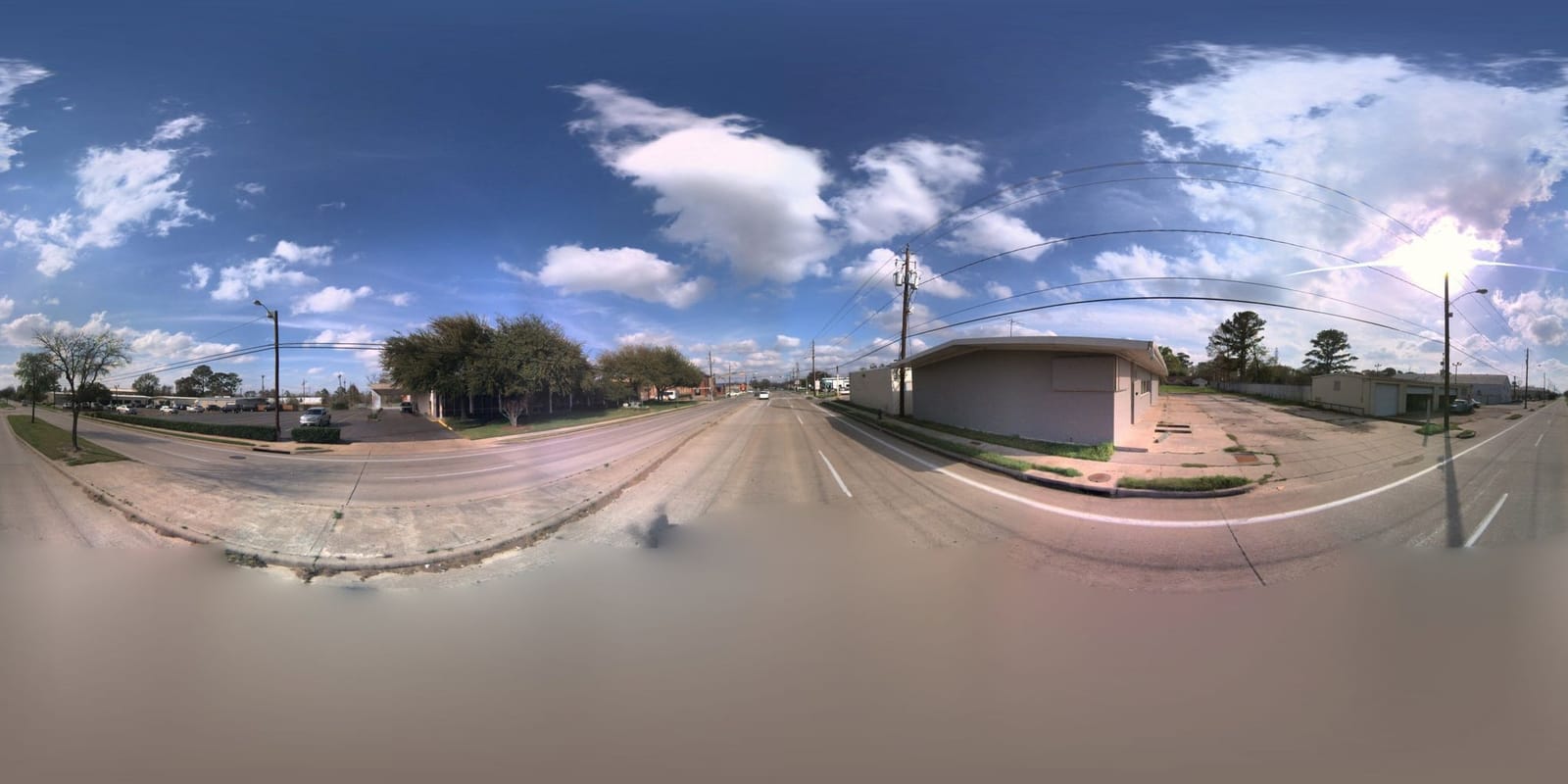 Slowpokes photo 2