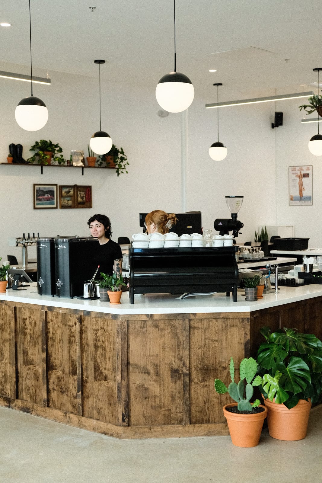 Wayward Coffee Co.