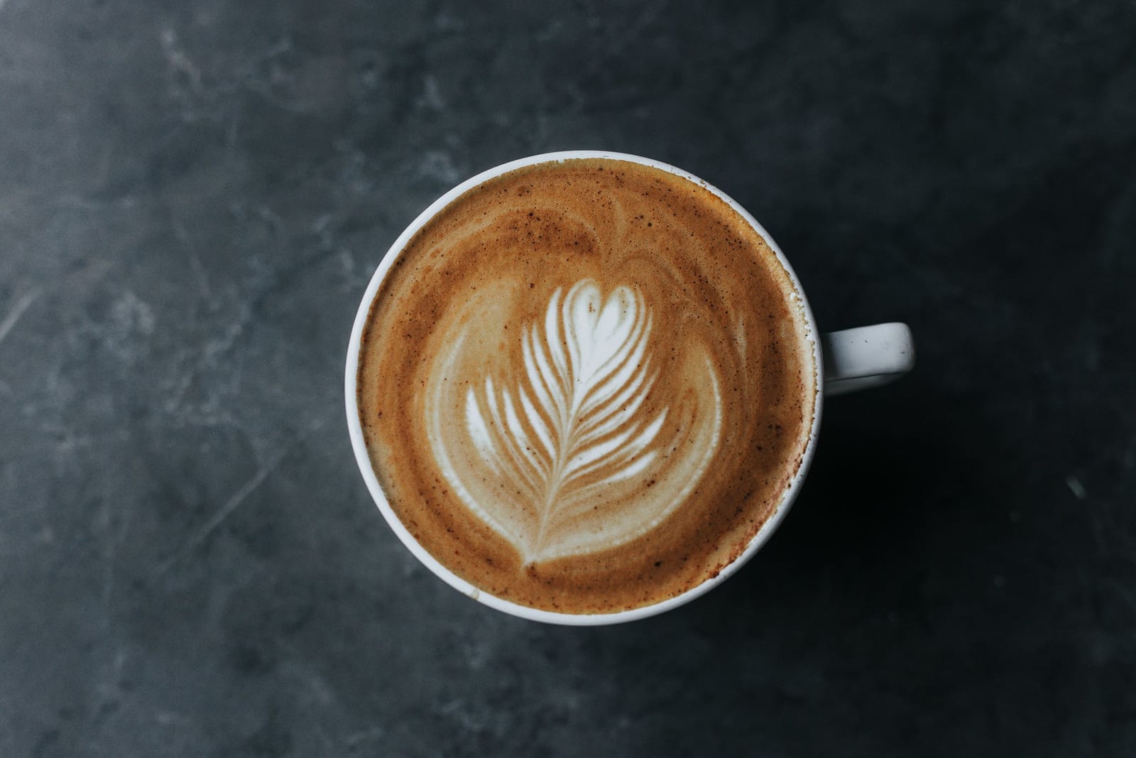 Nehemiah Coffee Company photo 9