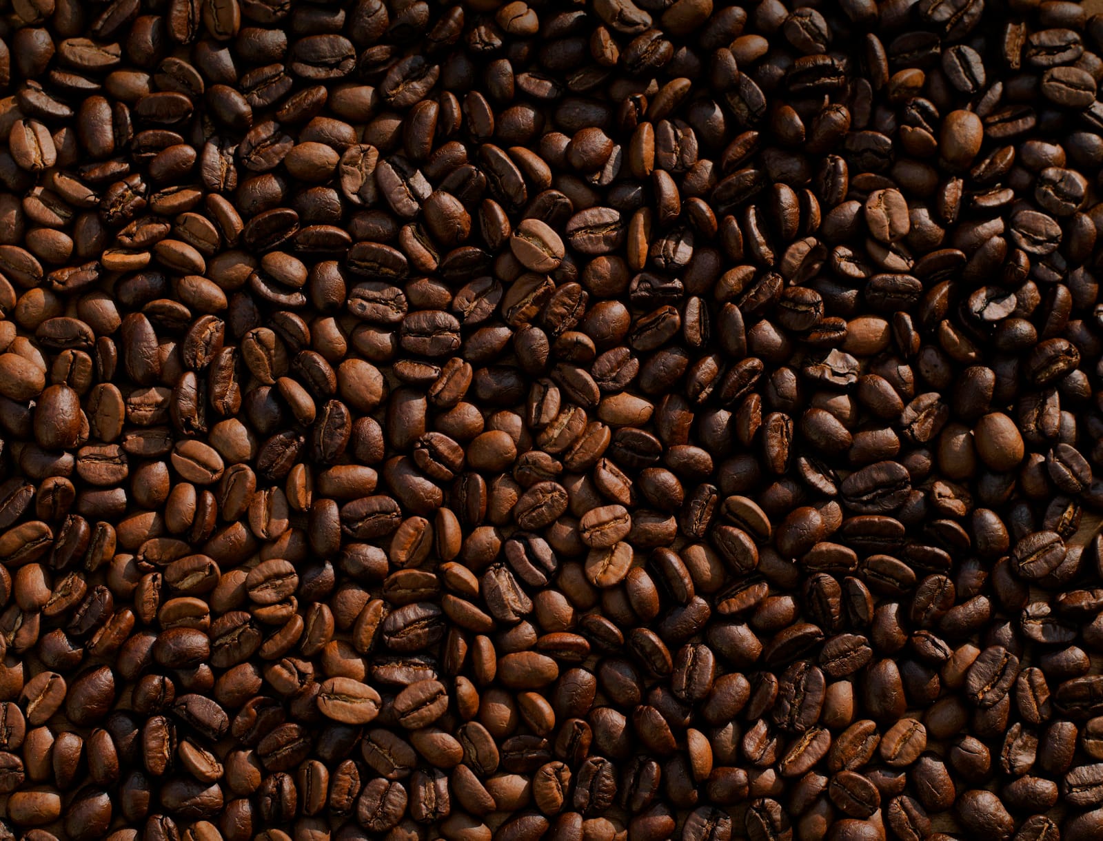 Nehemiah Coffee Company photo 5