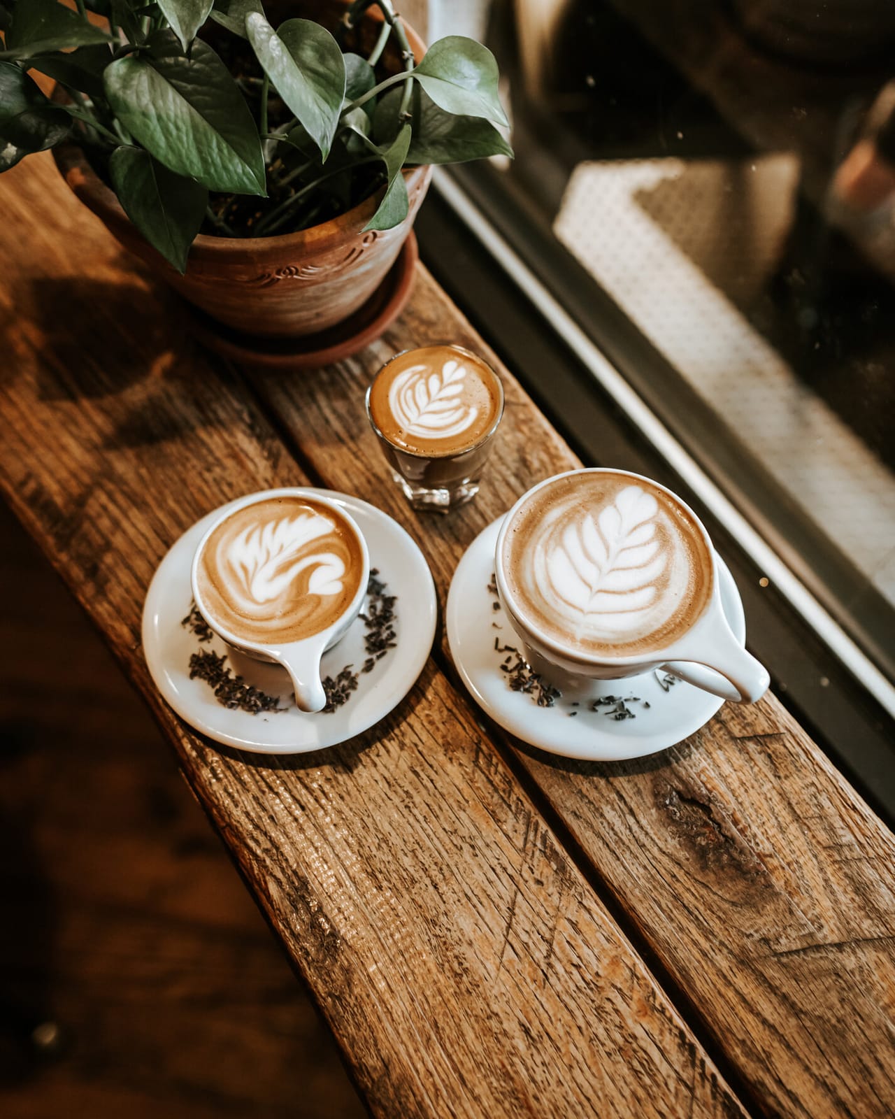 West Oak Coffee Bar photo 2